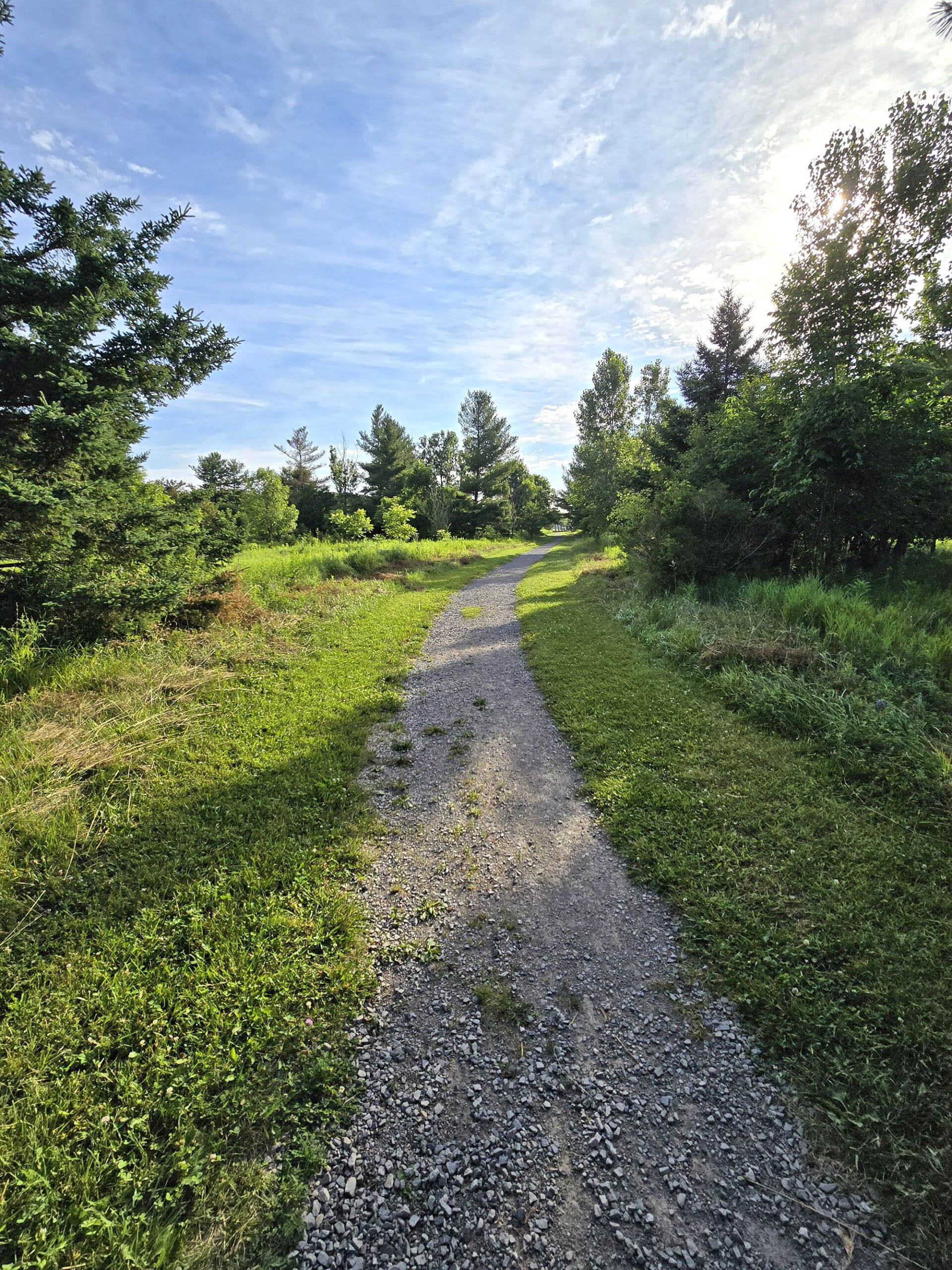 A trail going through the woods at Bronte Creek Provincial Park.