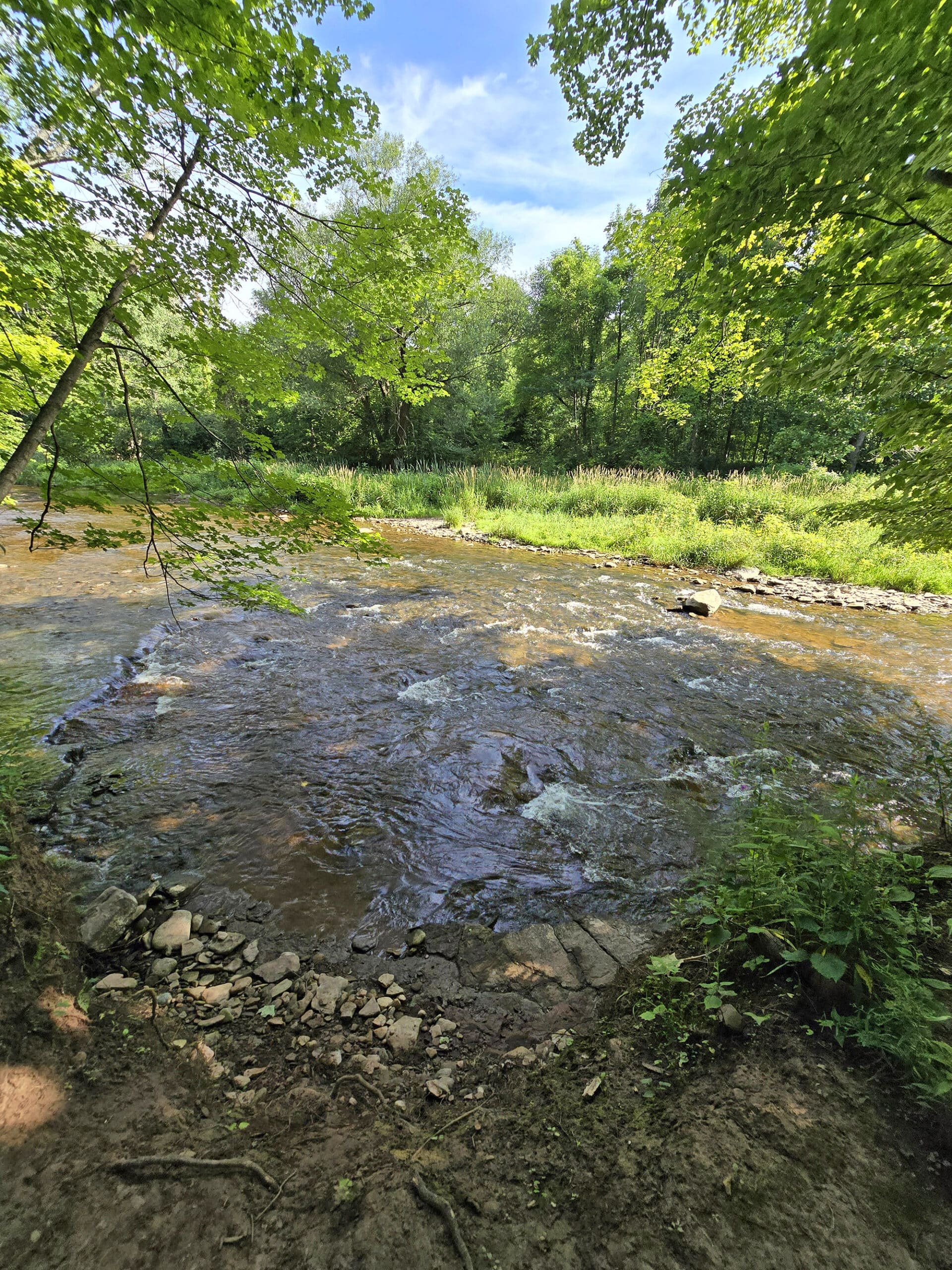 Bronte Creek, viewed through some trees.