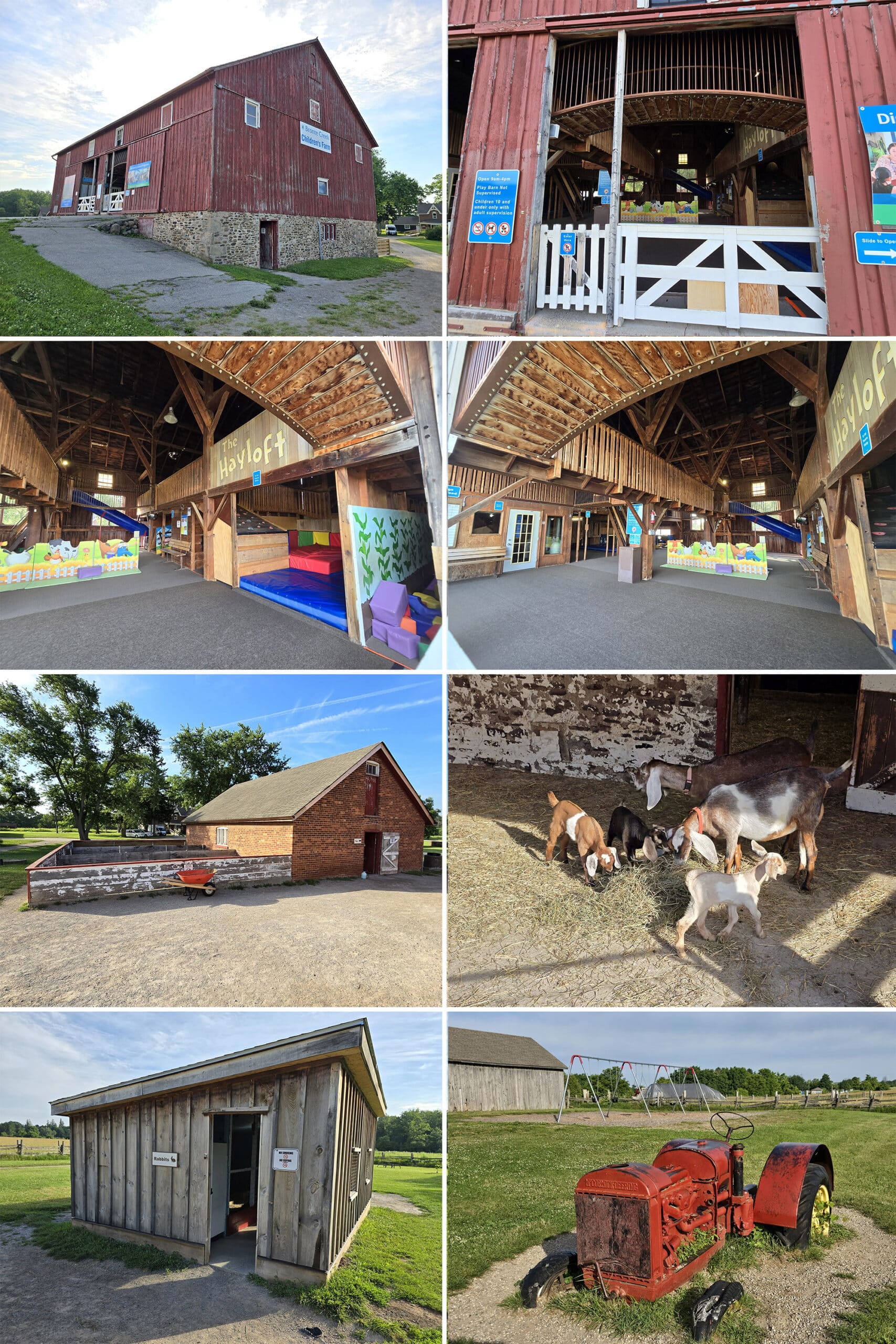 8 part image showing the buildings, animals, and attractions at Bronte Creek Provincial Park's children's farm.