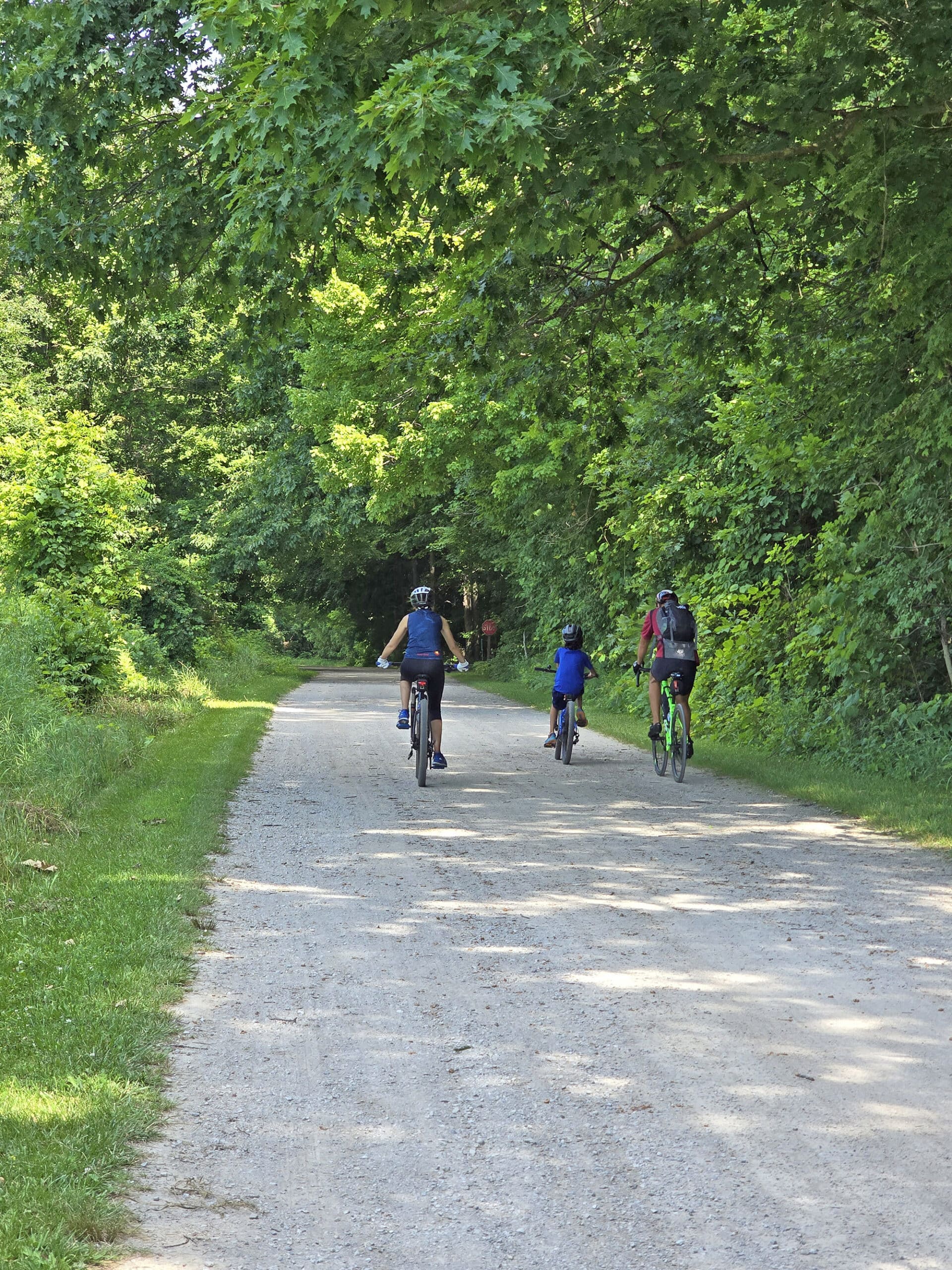 3 cyclists riding into the distance.