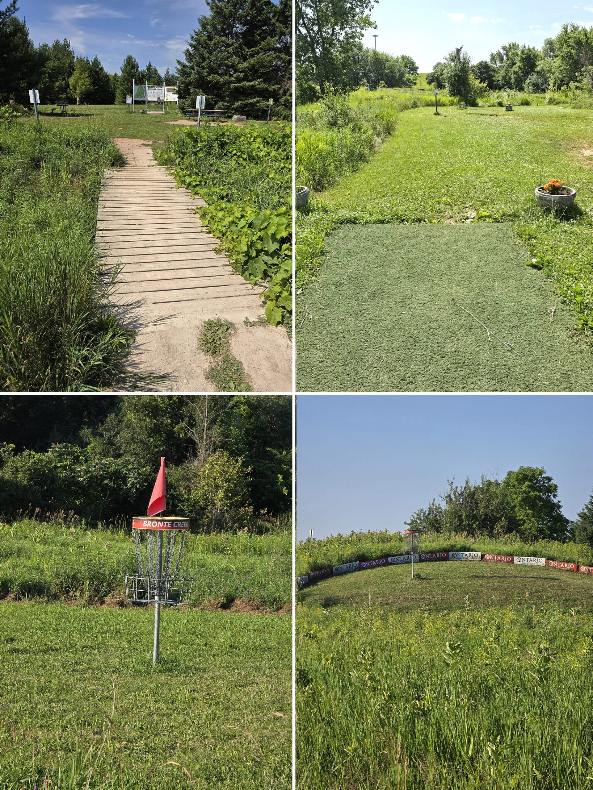 4 part image showing various views of the disc golf green.