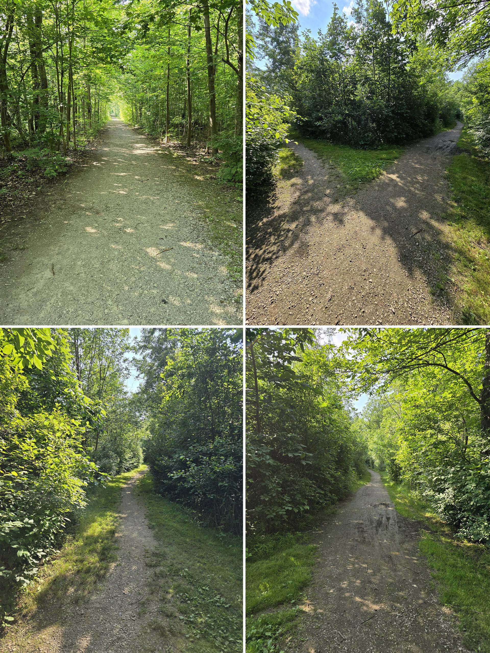 4 part image showing various views of the path on the Field and Forest Trail.