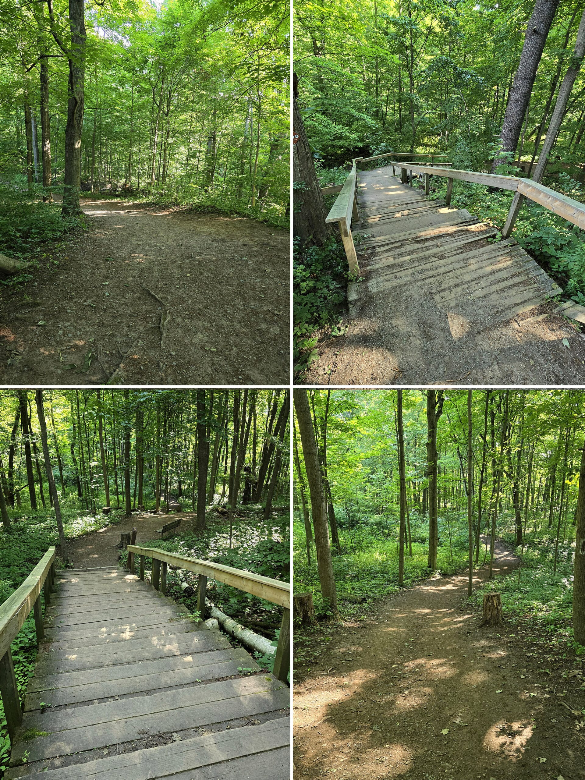 4 part image showing various views of the path on the Half Moon Valley Trail.