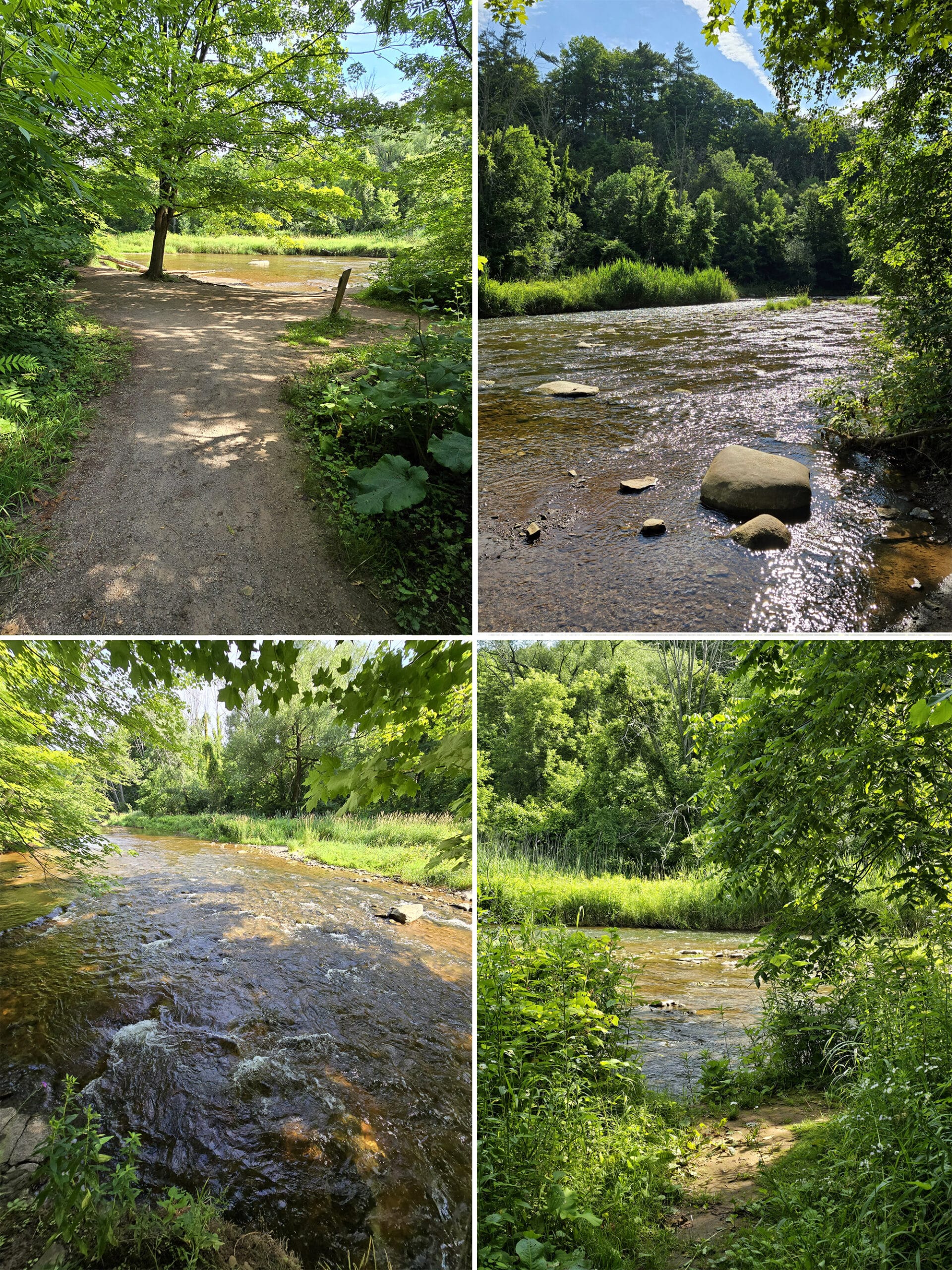 4 part image showing various views of the path on the Half Moon Valley Trail.