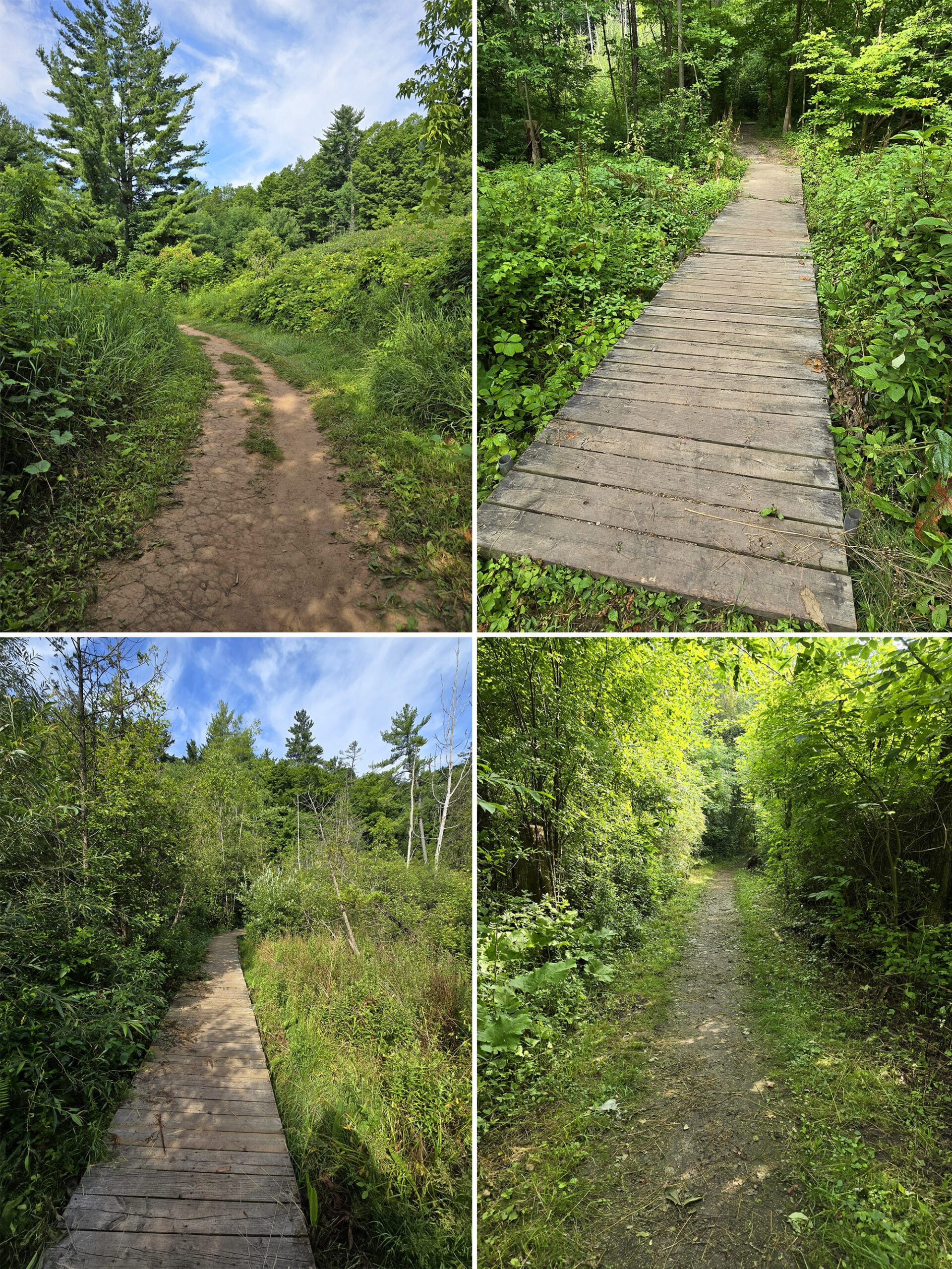 4 part image showing various views of the path on the Half Moon Valley Trail.