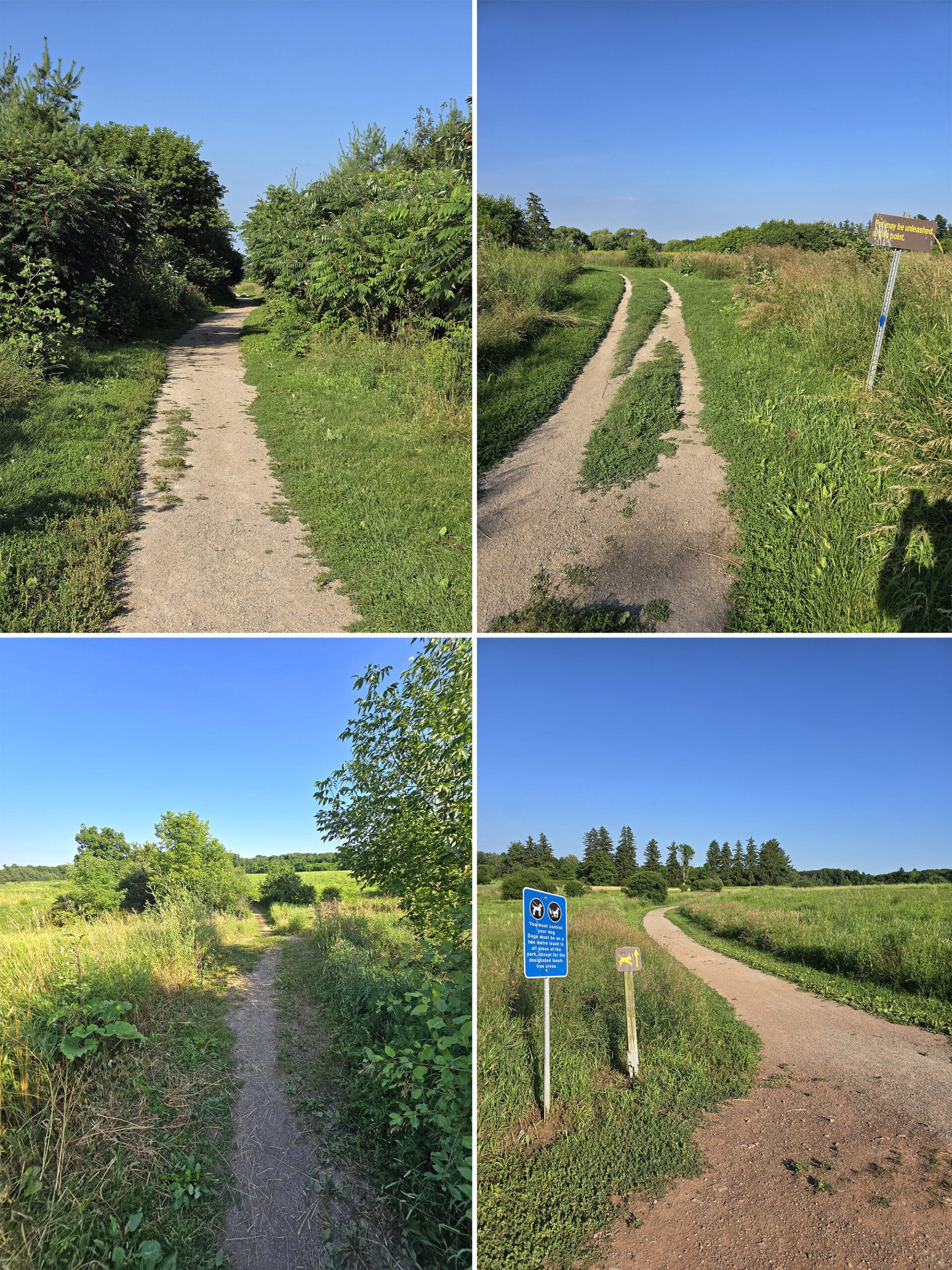 4 part image showing various views of the path on the campground Leash Free Trail.