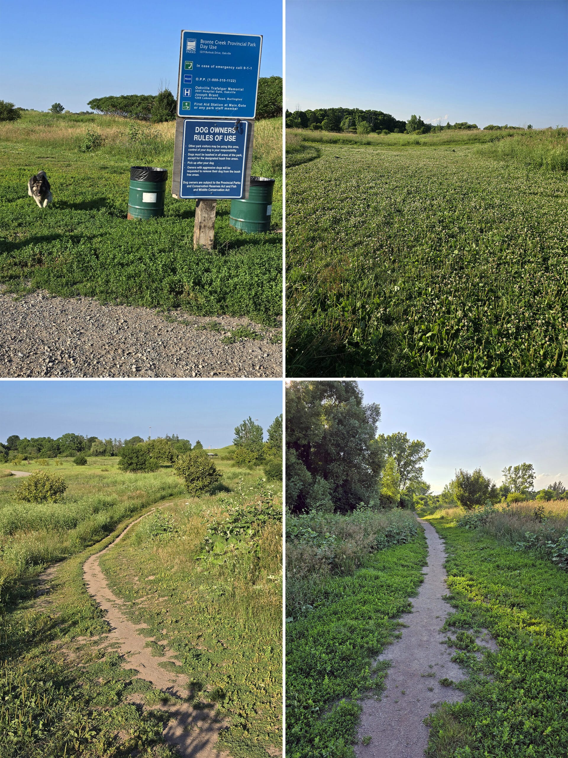 4 part image showing various views of the path on the Day use Leash Free Trail.