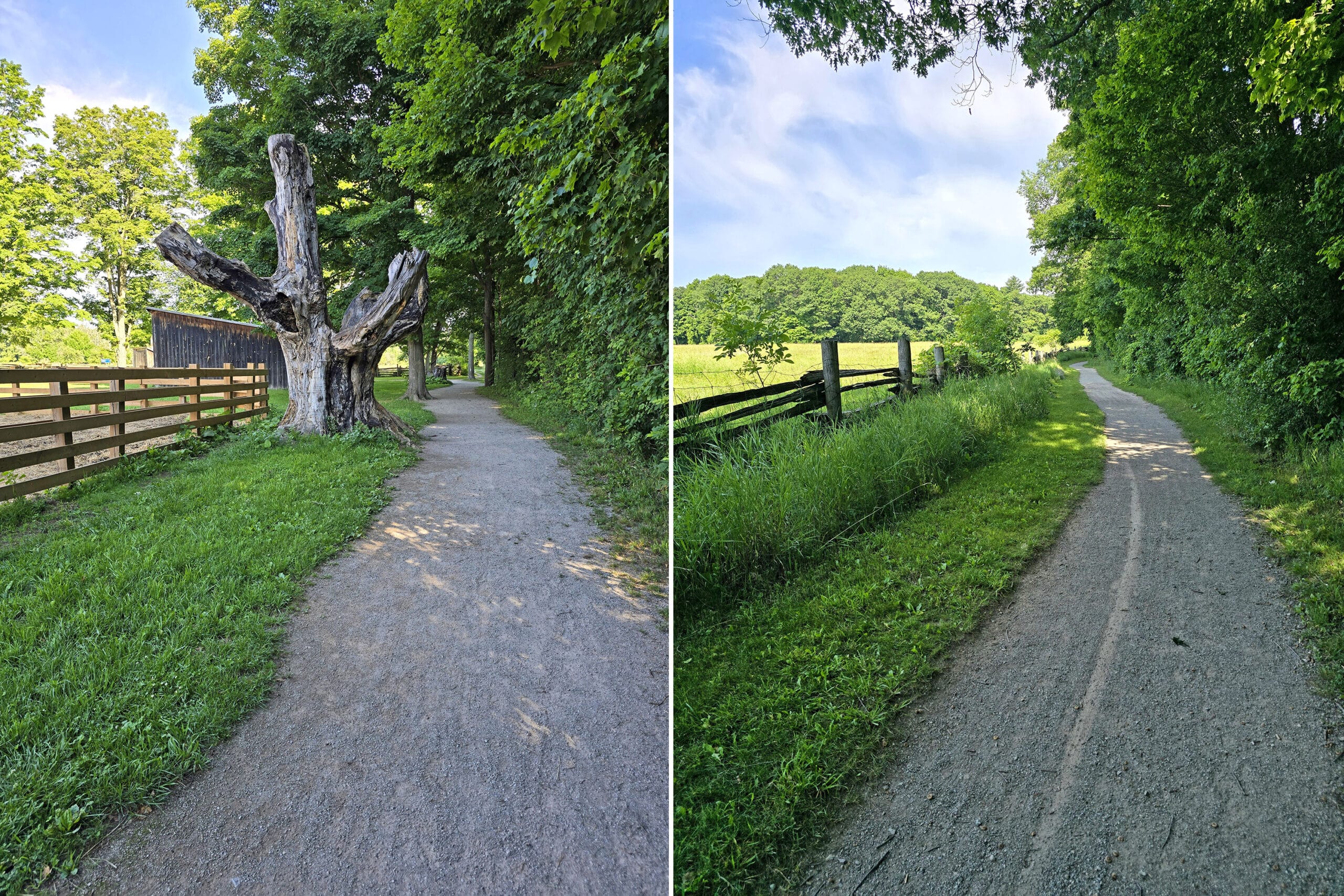 2 part image showing various views of the path on Lookout Ravine Trail.