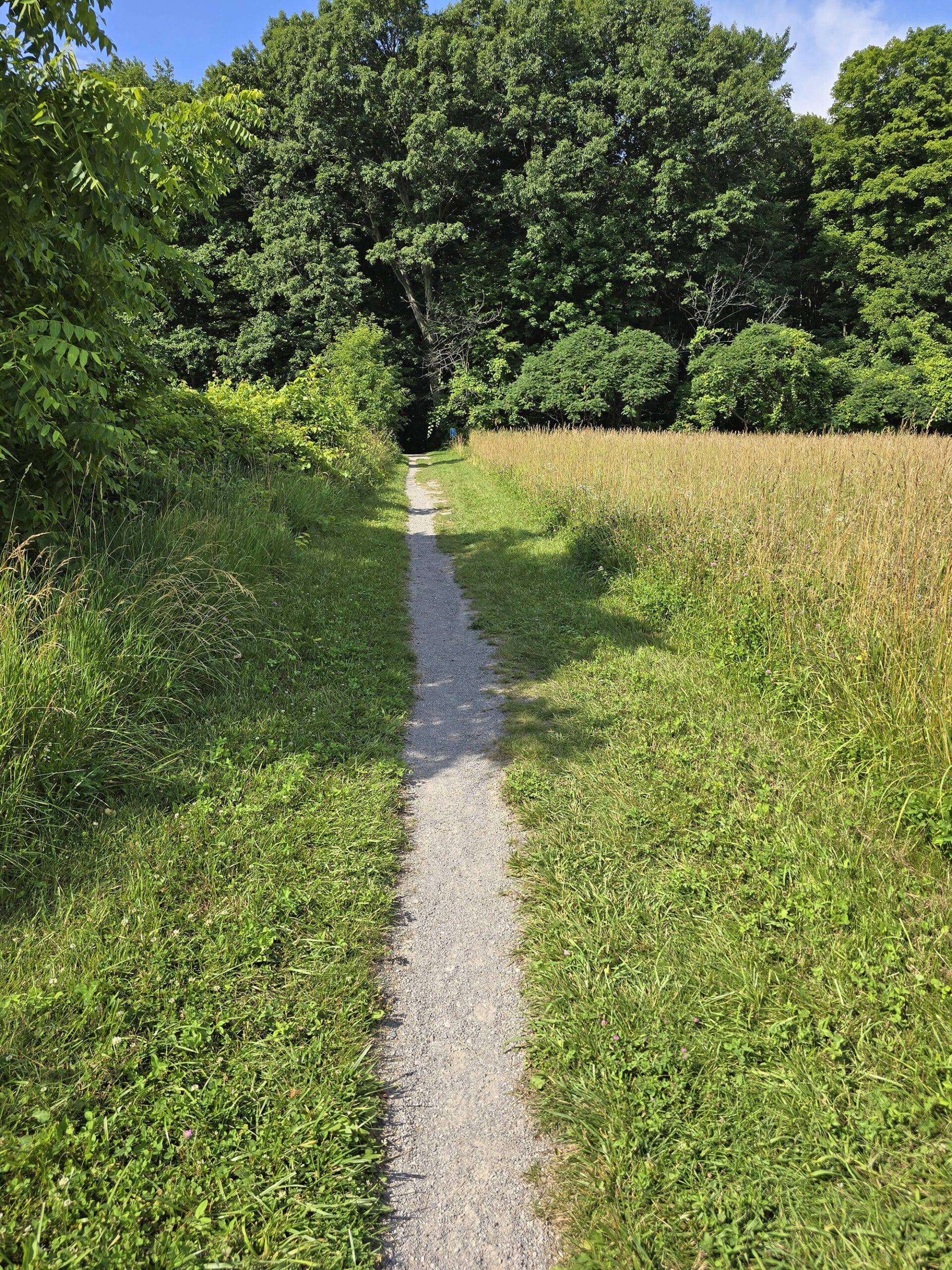 4 part image showing various views of the path on Lookout Ravine Trail.