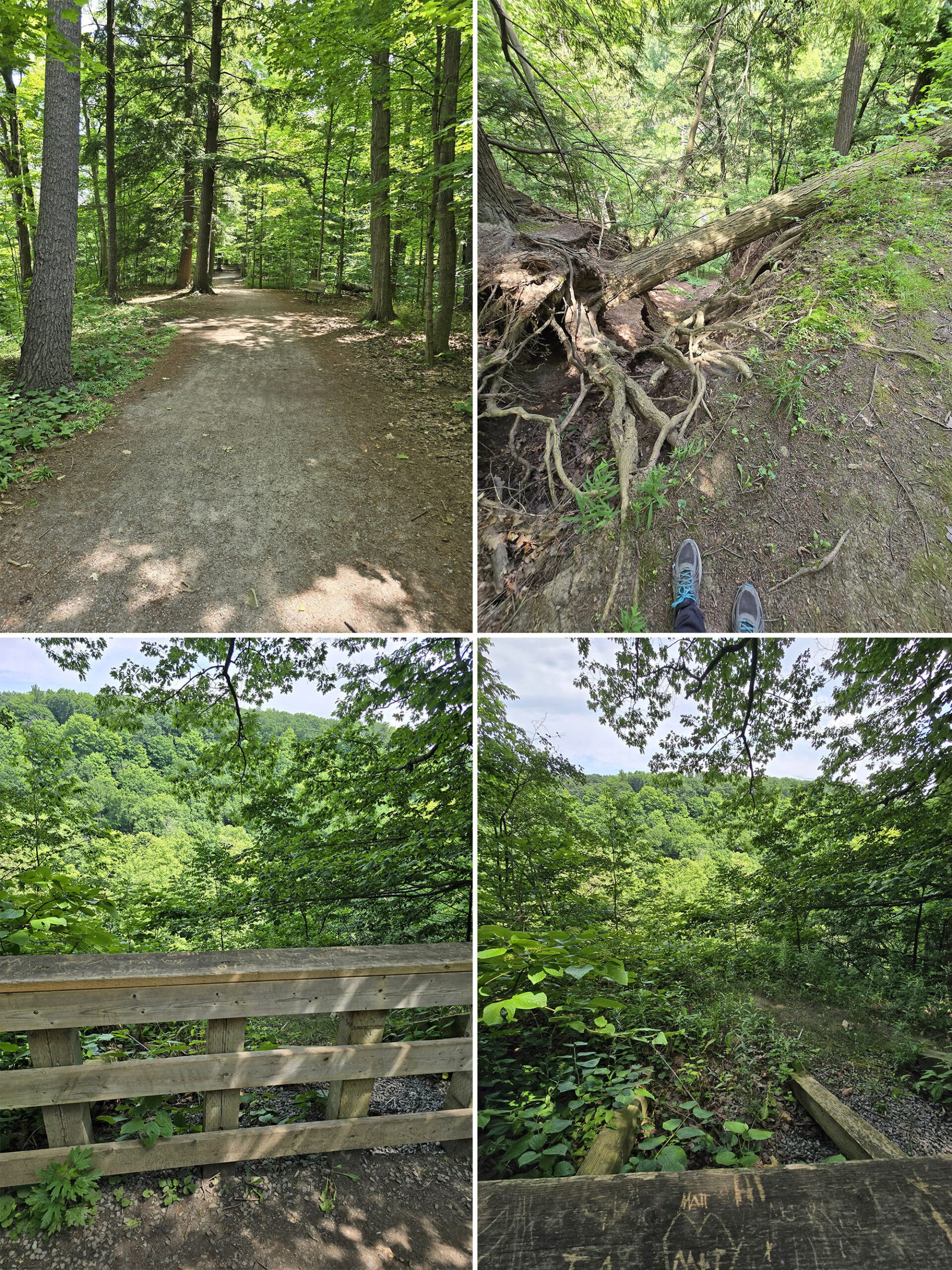 4 part image showing various views of the path on Lookout Ravine Trail.