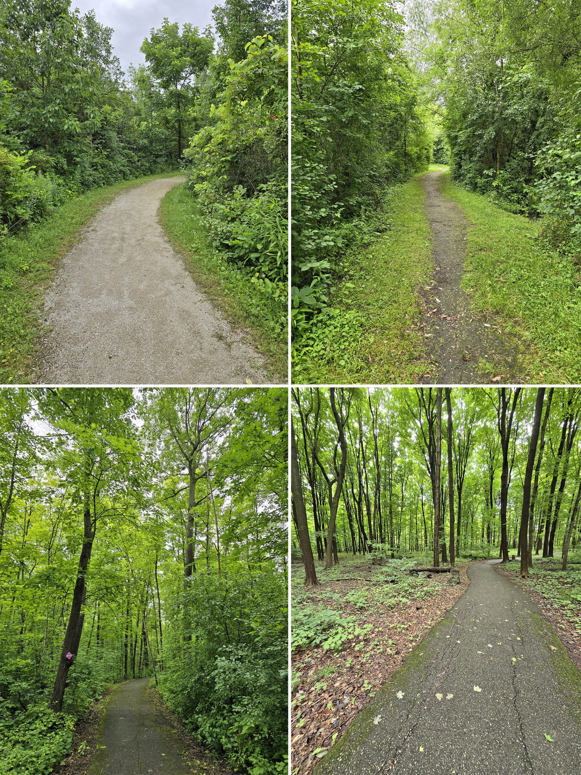 4 part image showing various views of the path on Maiden’s Blush Trail.