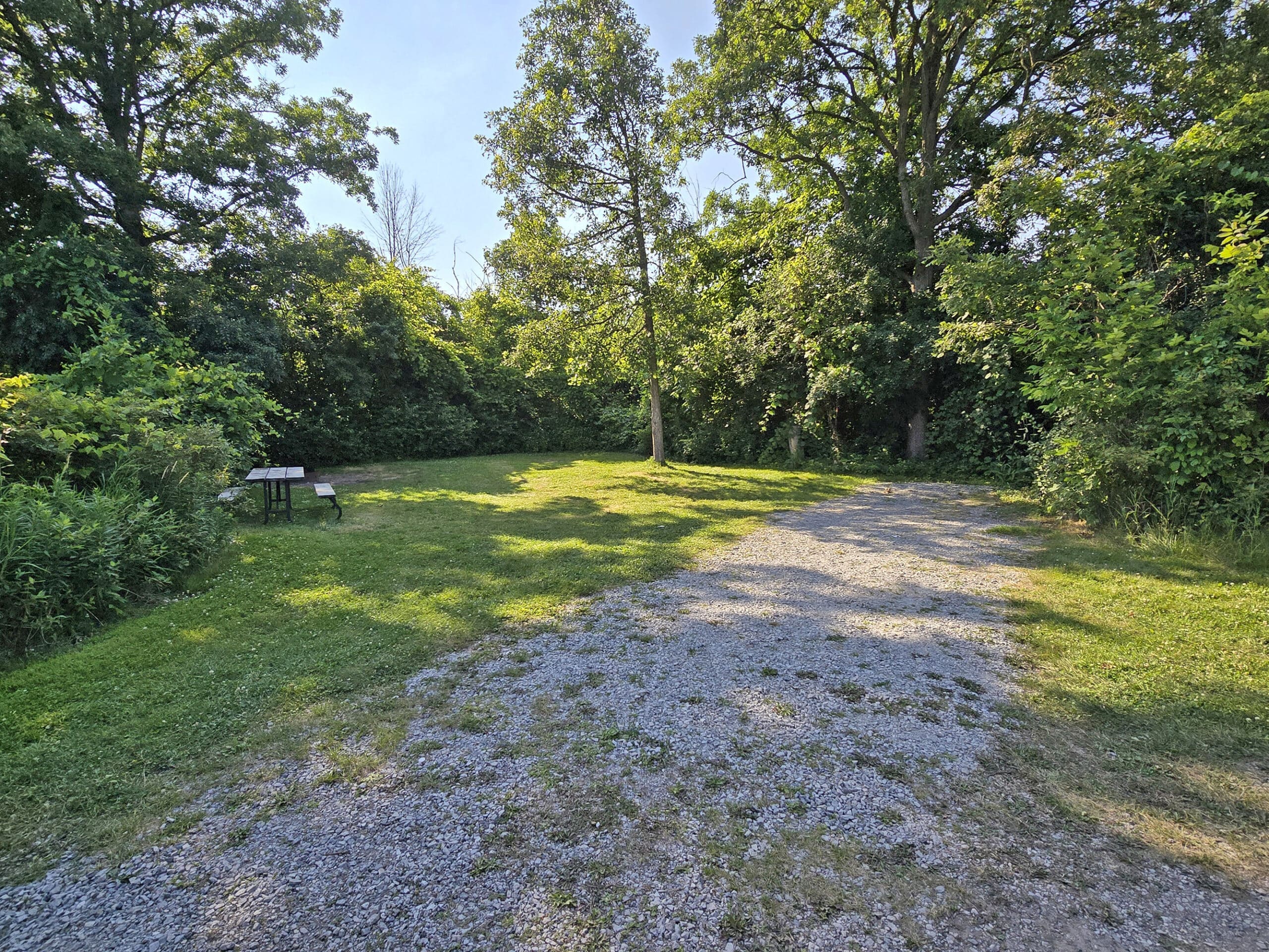 A grassy campsite surrounded by bushes and trees,