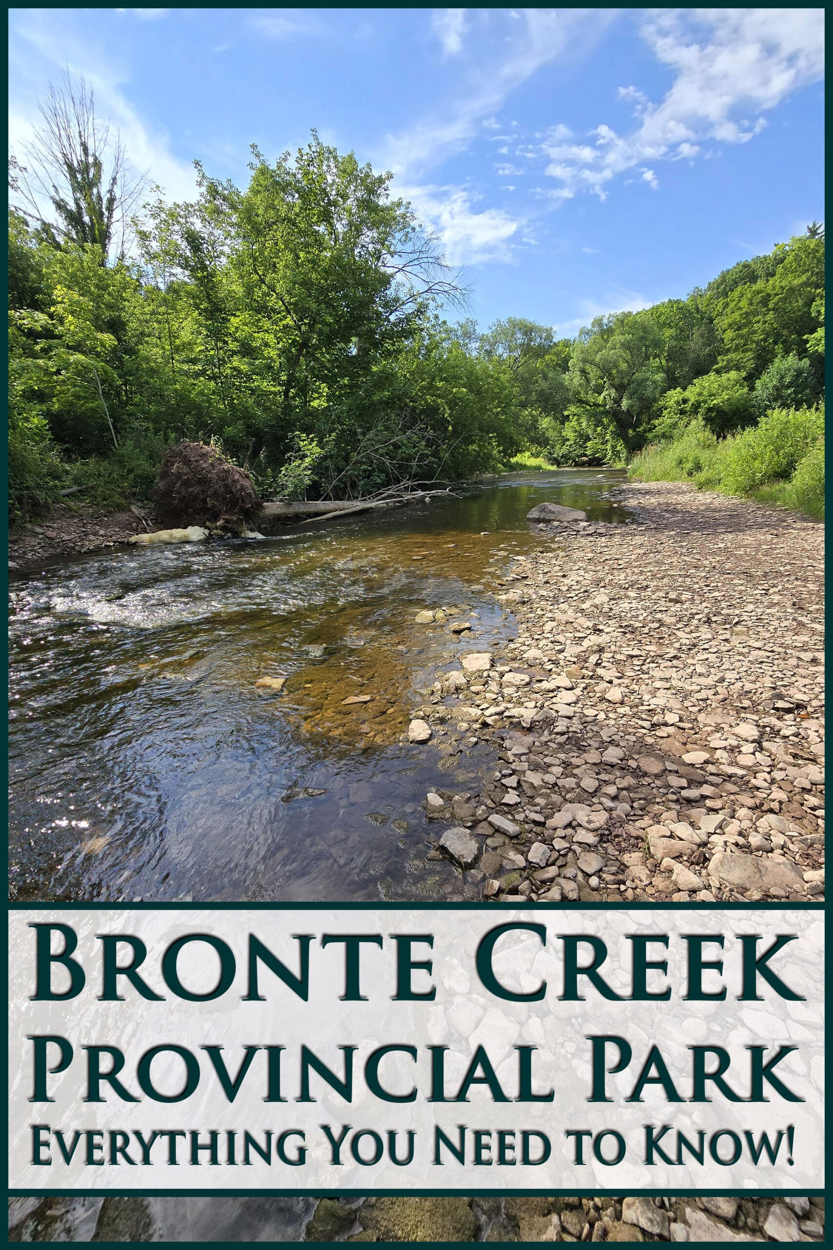 Bronte Creek, running through the forest. Overlaid text says Bronte Creek Provincial Park everything you need to know.