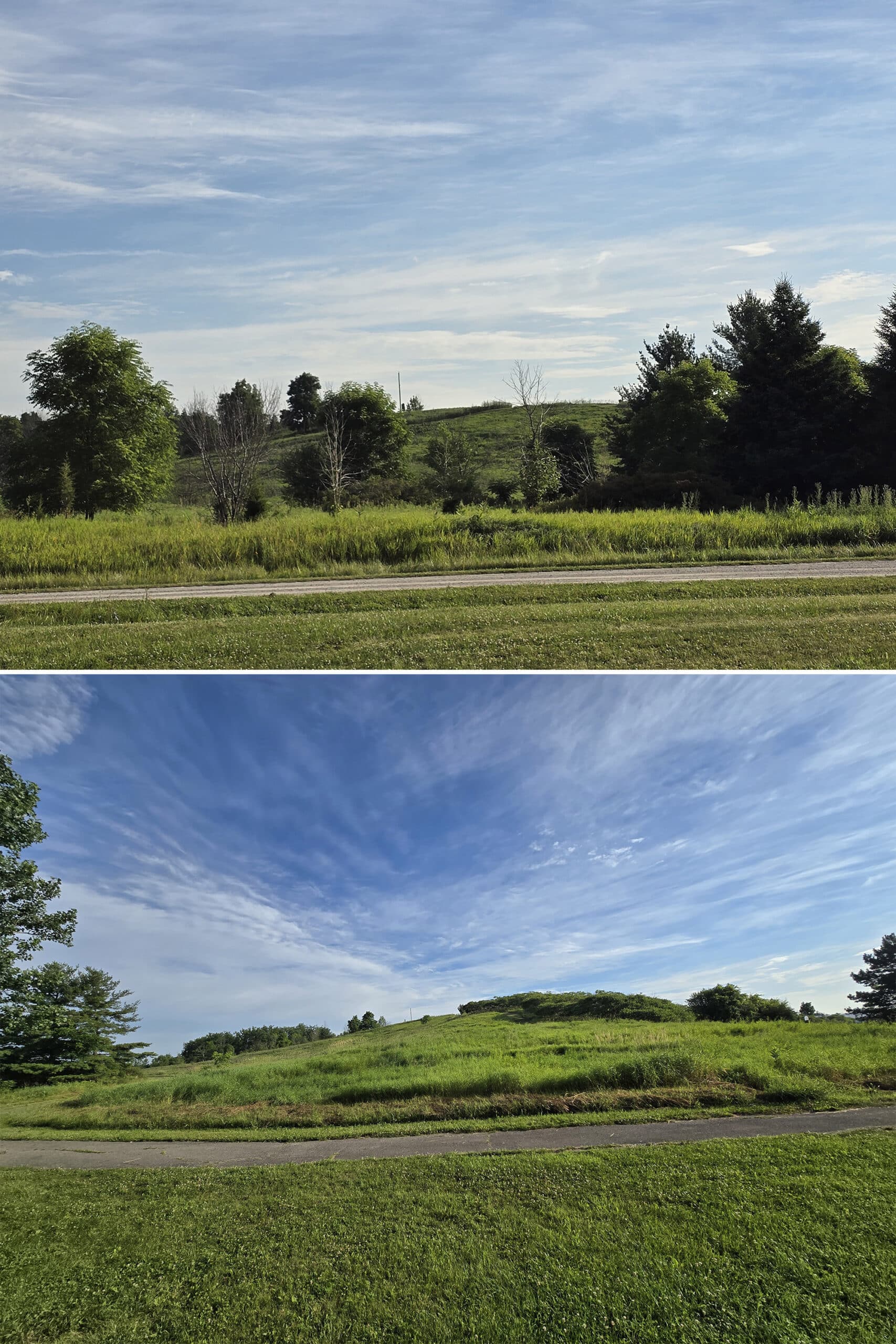 A large grassy hill.