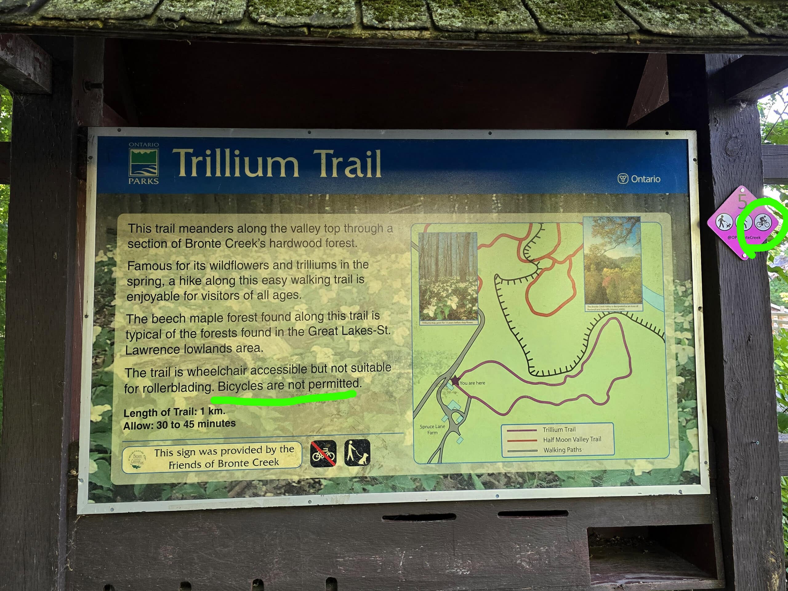 A map sign for trillium trail, with text banning cycling underlined, and an attached bicycle trail sign circled.