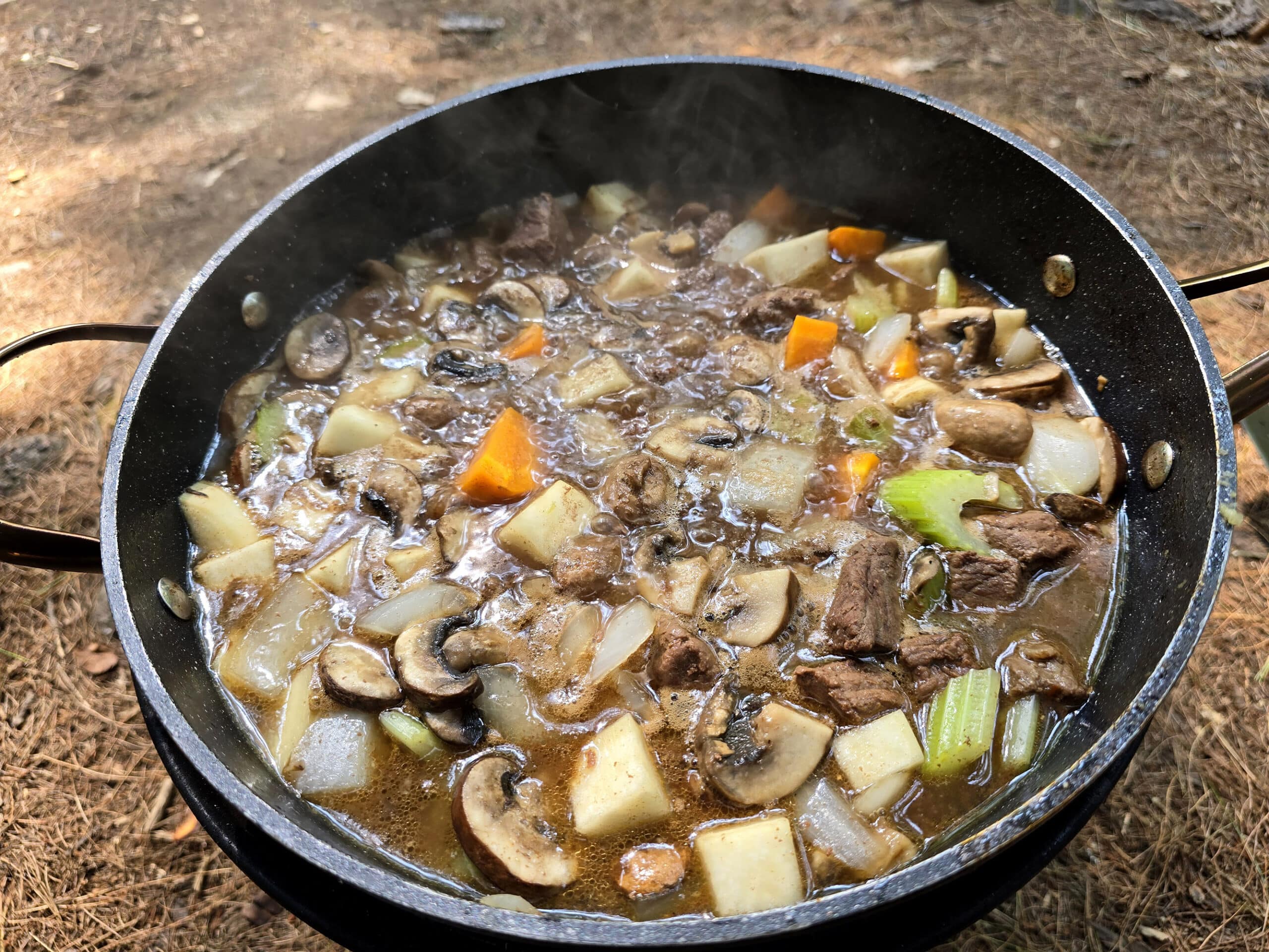 The pot of stew simmering over a fire, mushrooms cooked down.