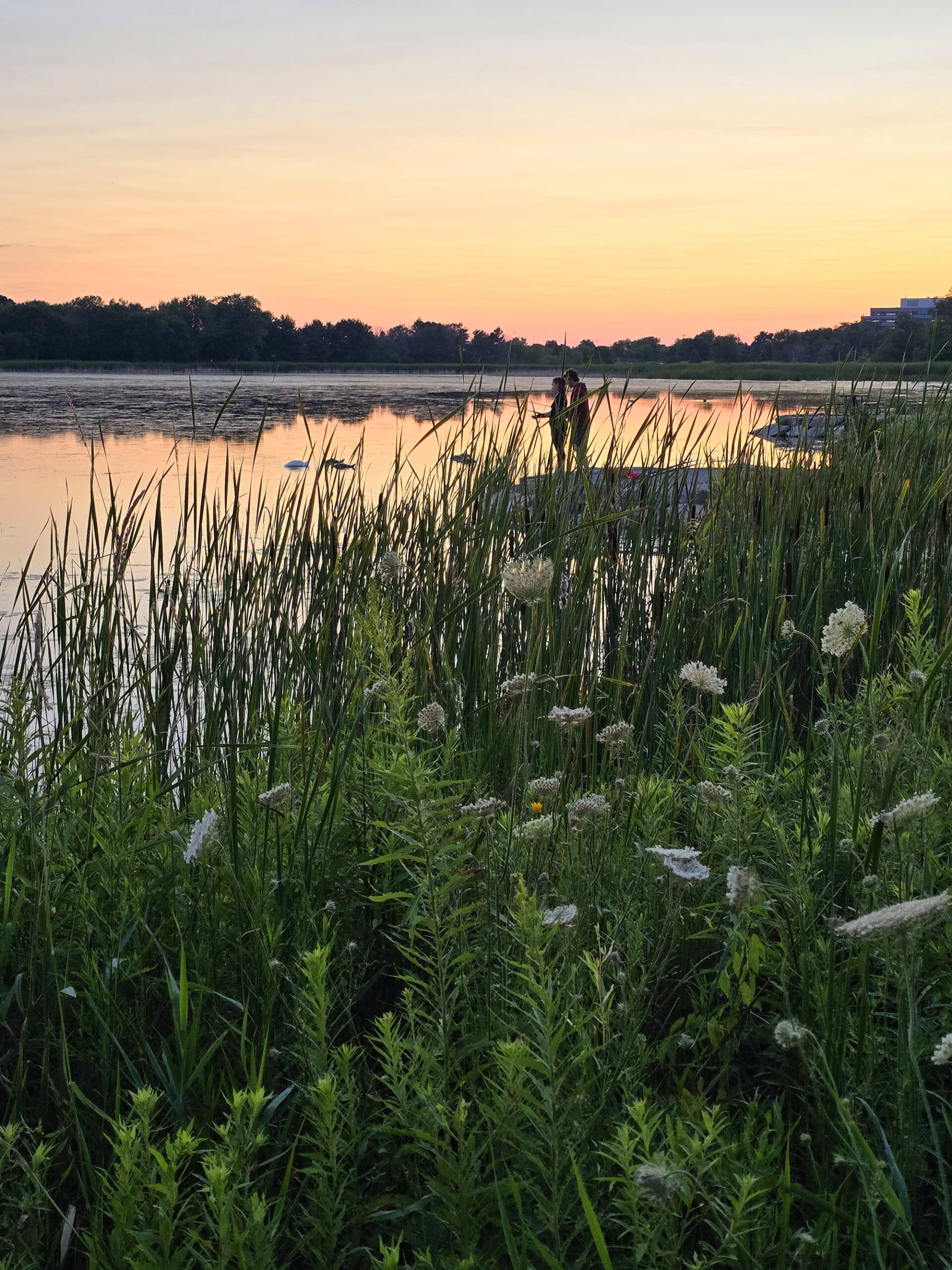 McLaughlin Bay at Sunset.