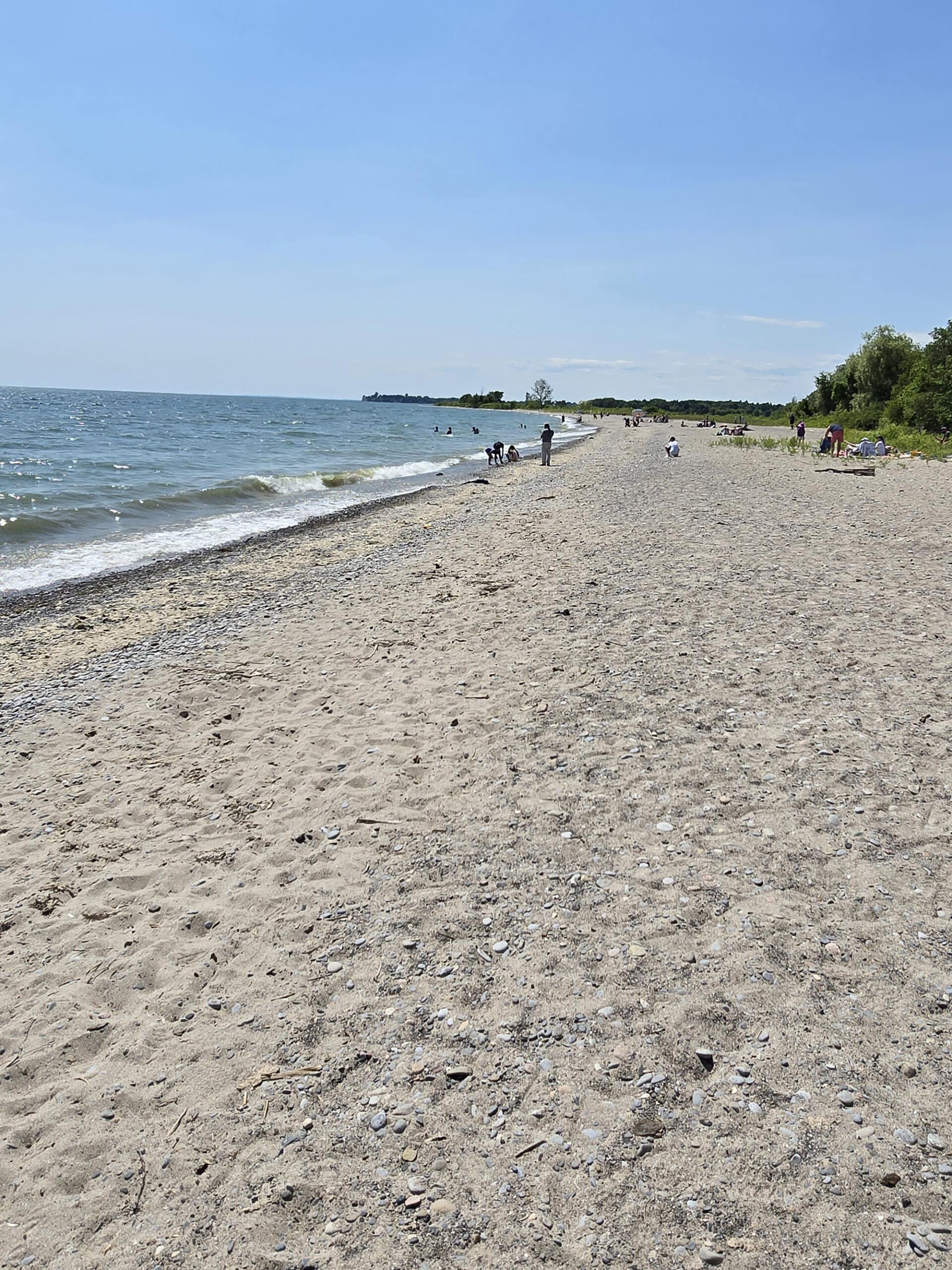 A long, empty beach at darlington provincial park.