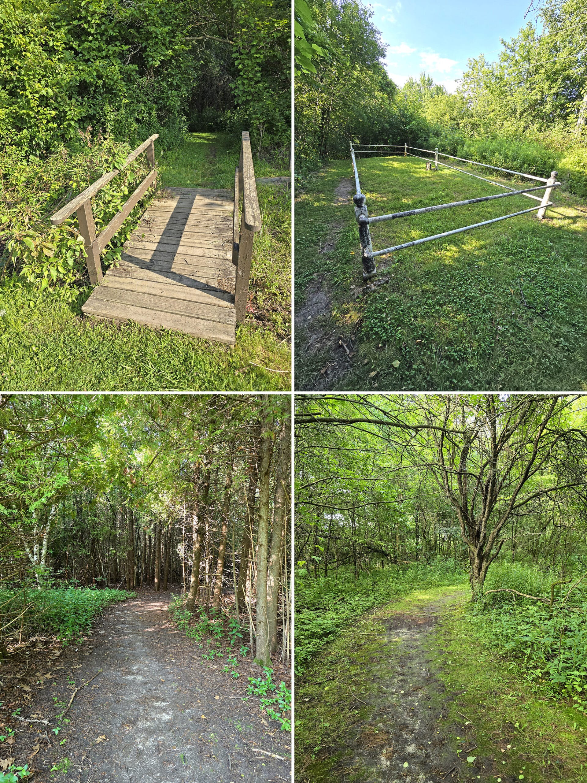 4 part image showing various views along the burk trail at darlington provincial park.