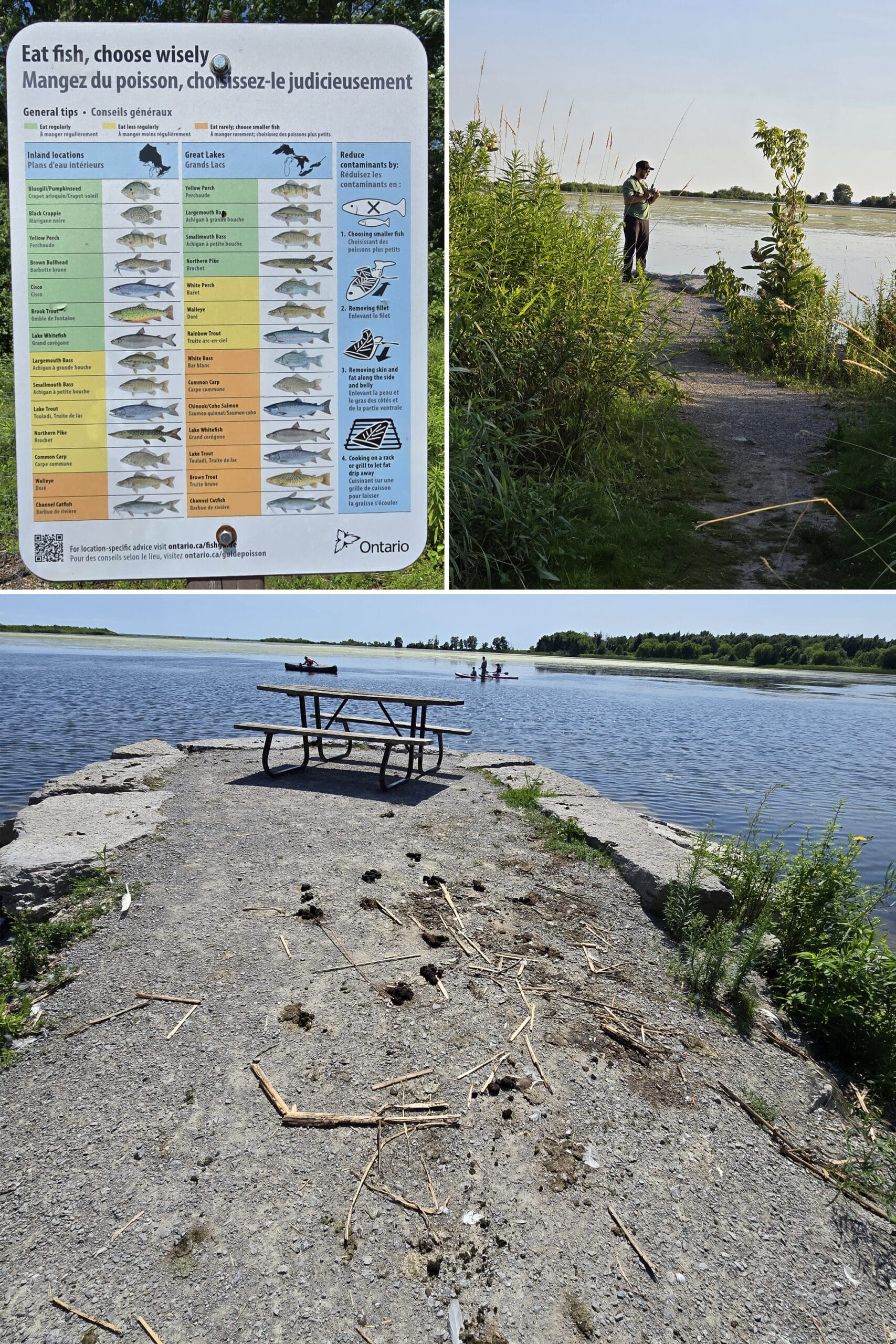 3 part image showing the fishing area and a sign about fish toxicity levels.