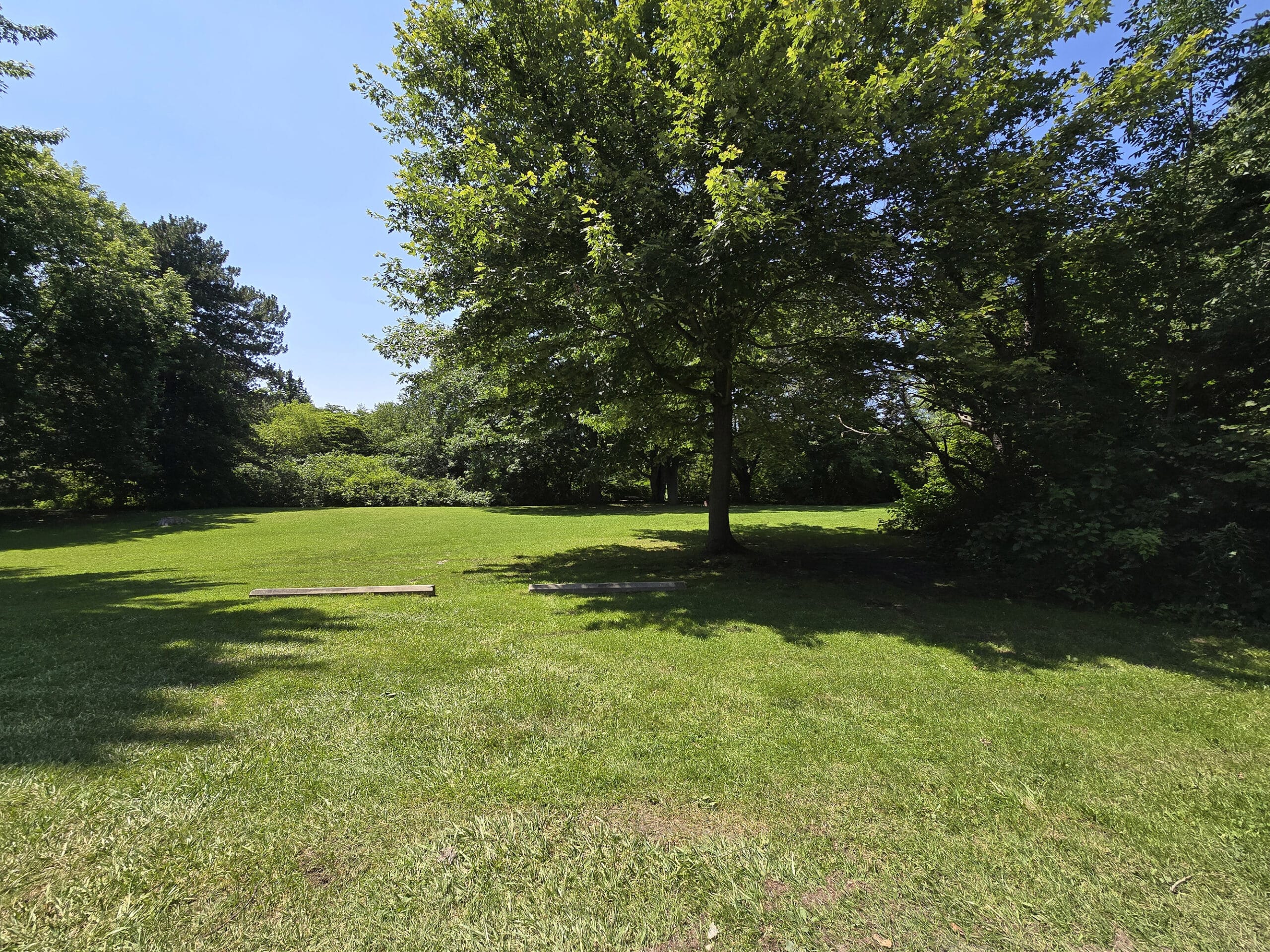 A large grassy area with parking in front.