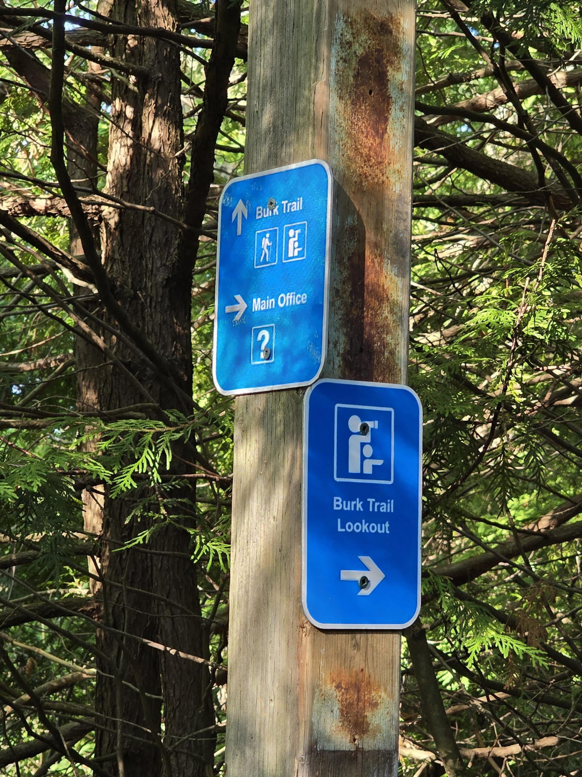 2 blue and white hiking trail signs on a post.