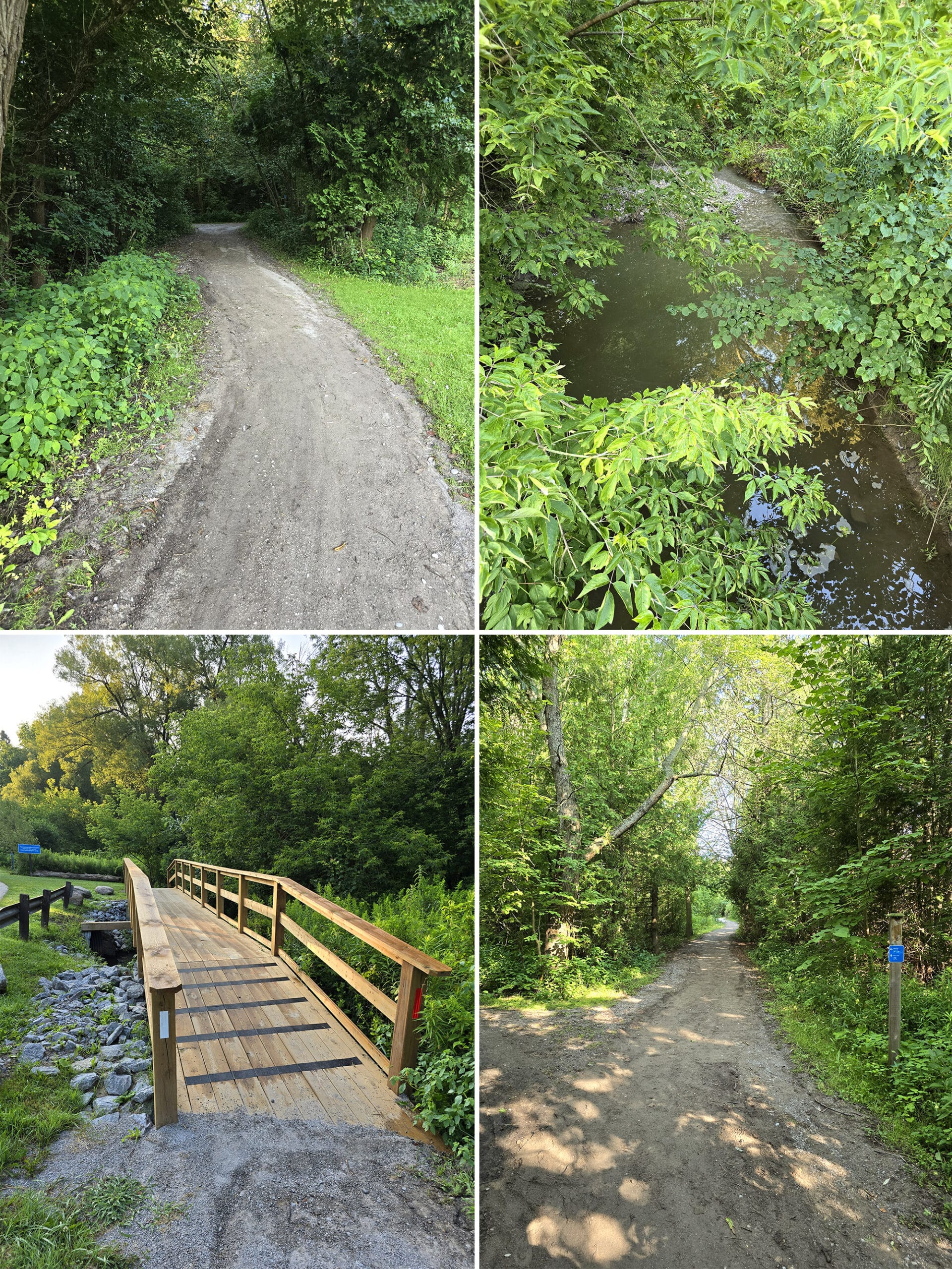 4 part image showing various images of the park store trail in darlington provincial park.