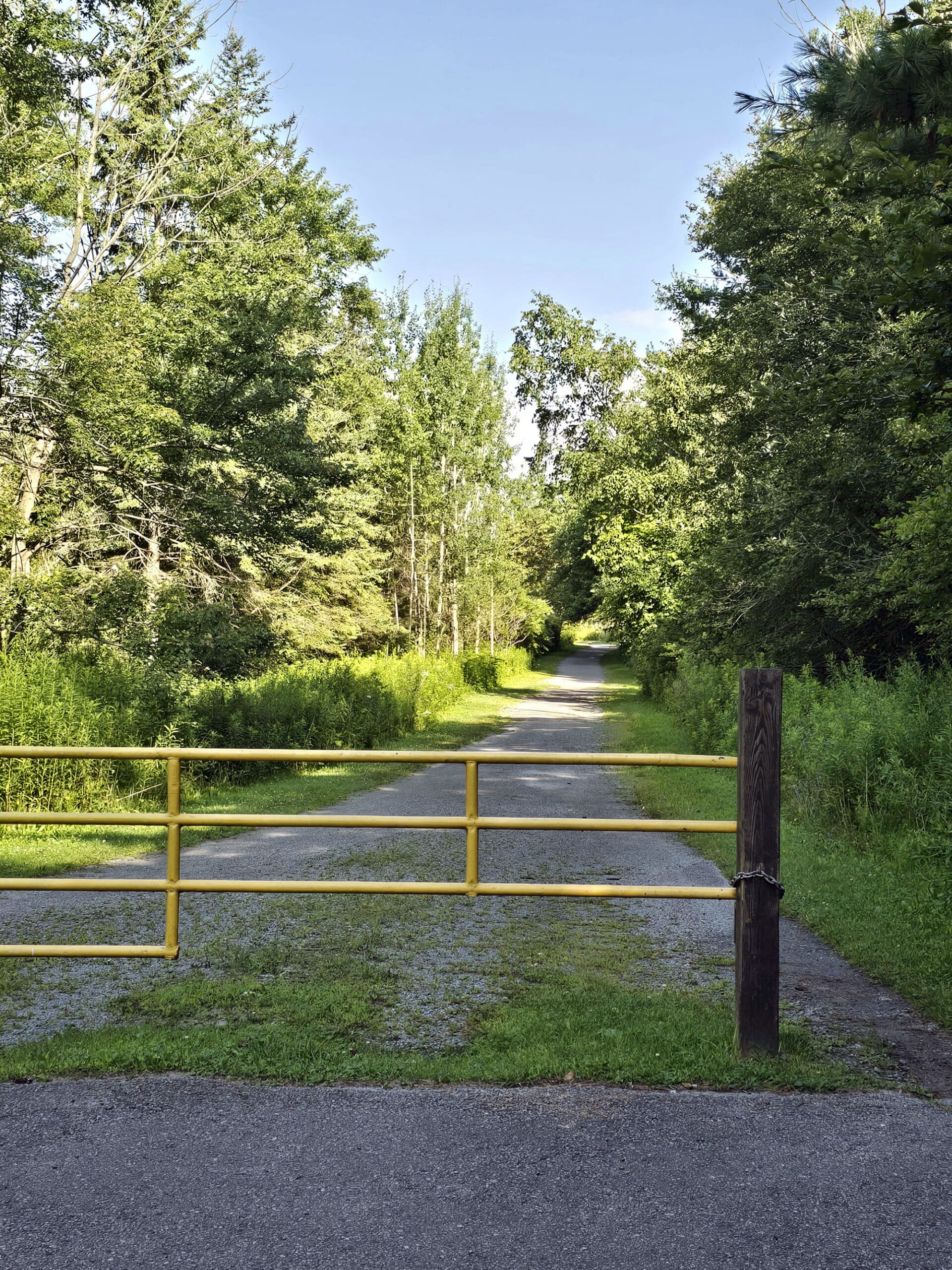 A wide gravel trail extending into the distance.