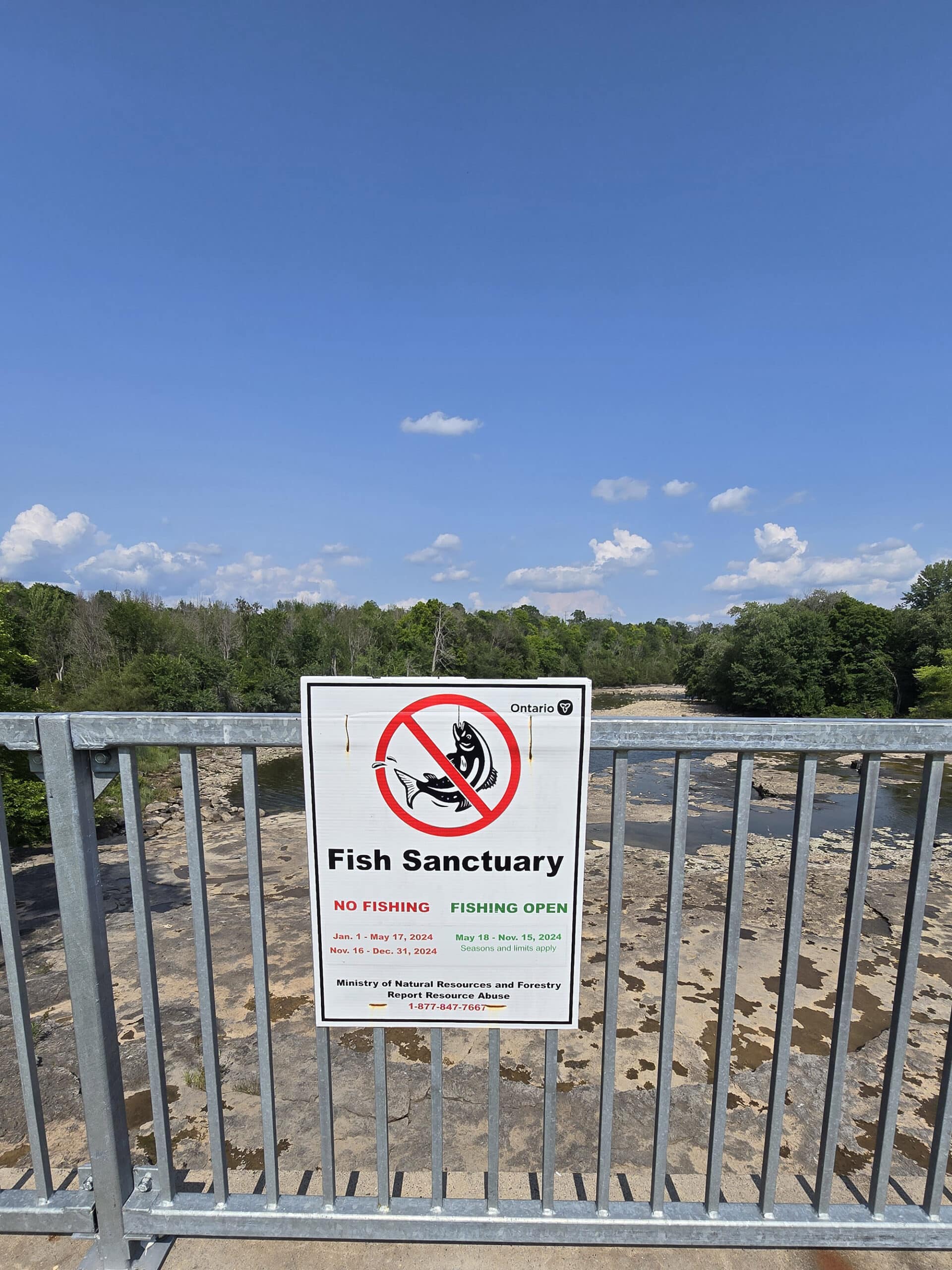 A gate overlooking healey falls. A sign indicates that it's a fish sanctuary, with fishing allowed only part of the year.