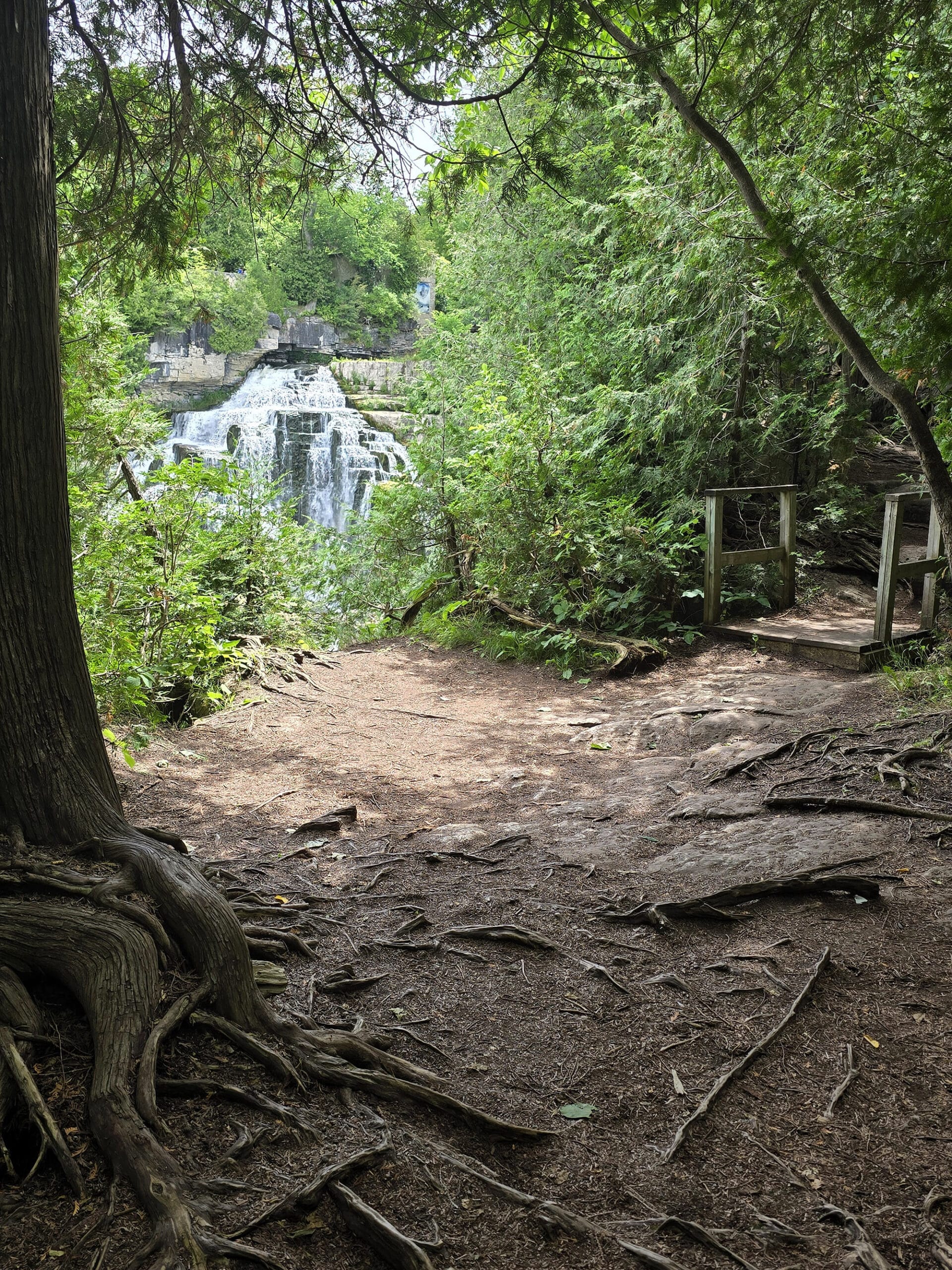 Inglis Falls Waterfall, from a distance.