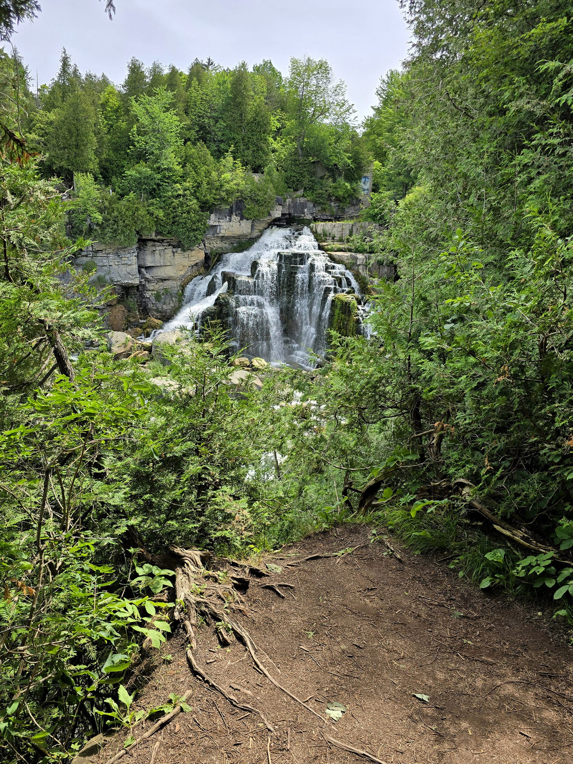 Inglis Falls Waterfall.