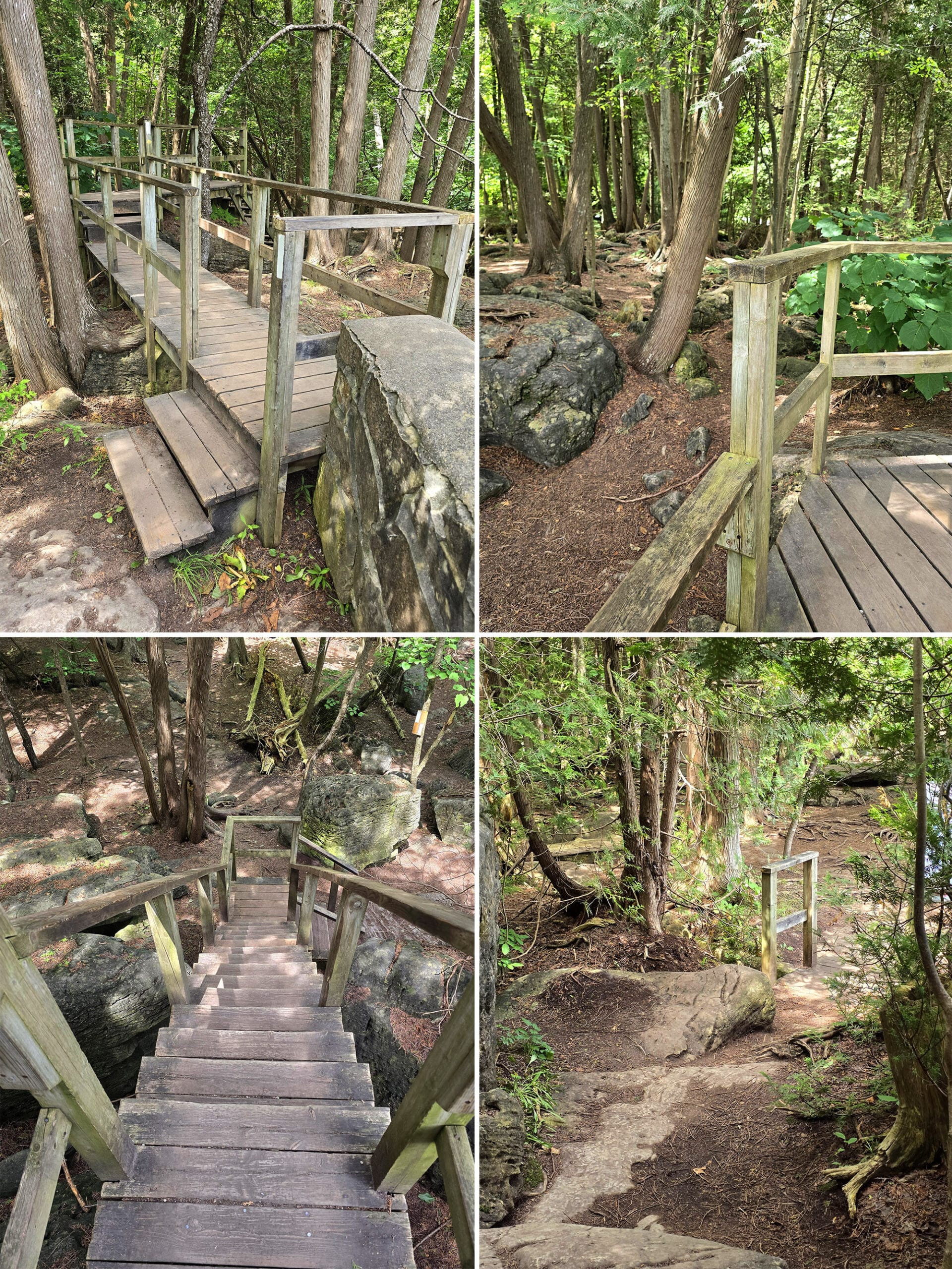 4 part image showing various views of the Bruce Trail though Inglis Falls Conservation Area.