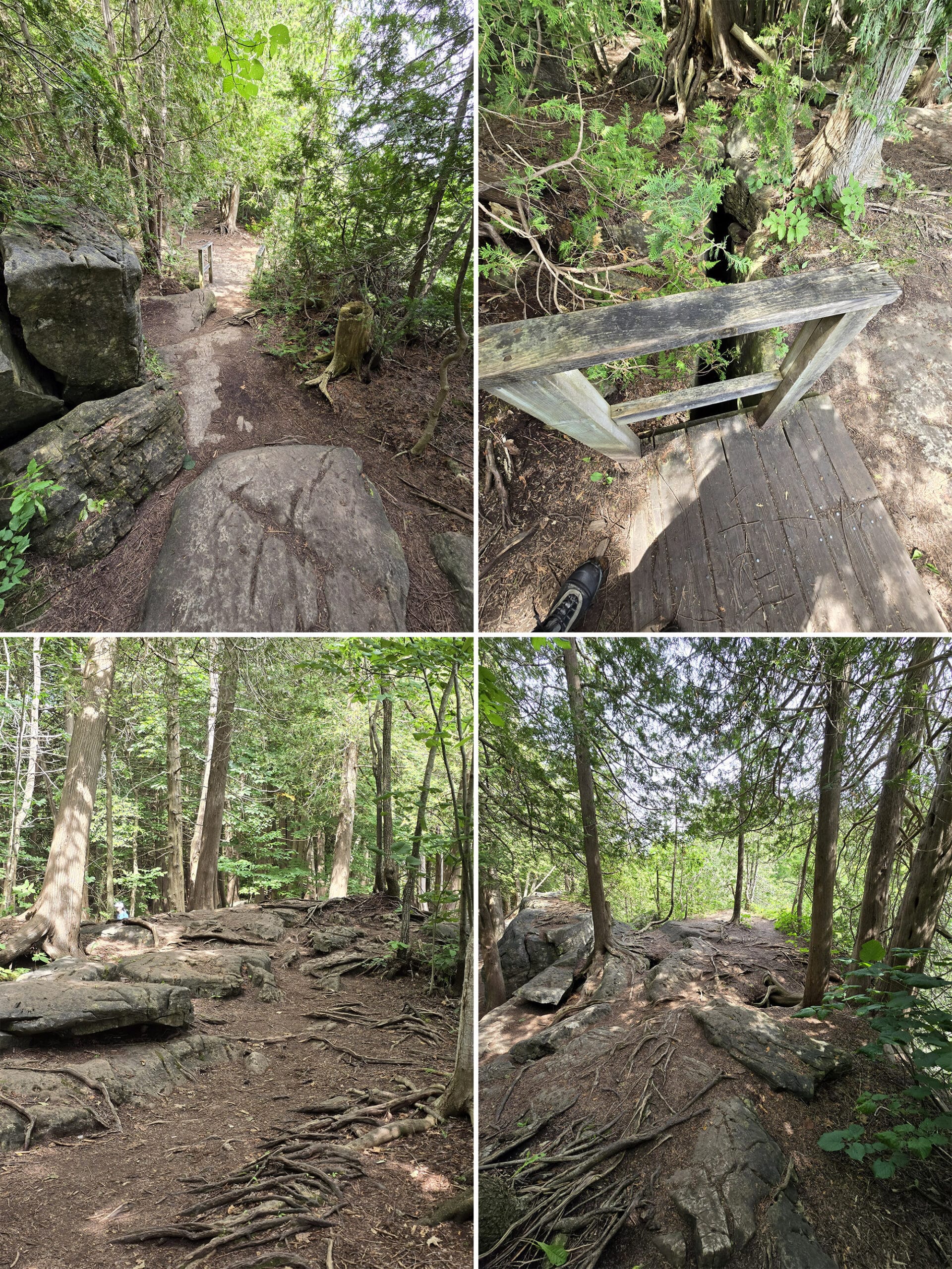 4 part image showing various views of the Bruce Trail though Inglis Falls Conservation Area.