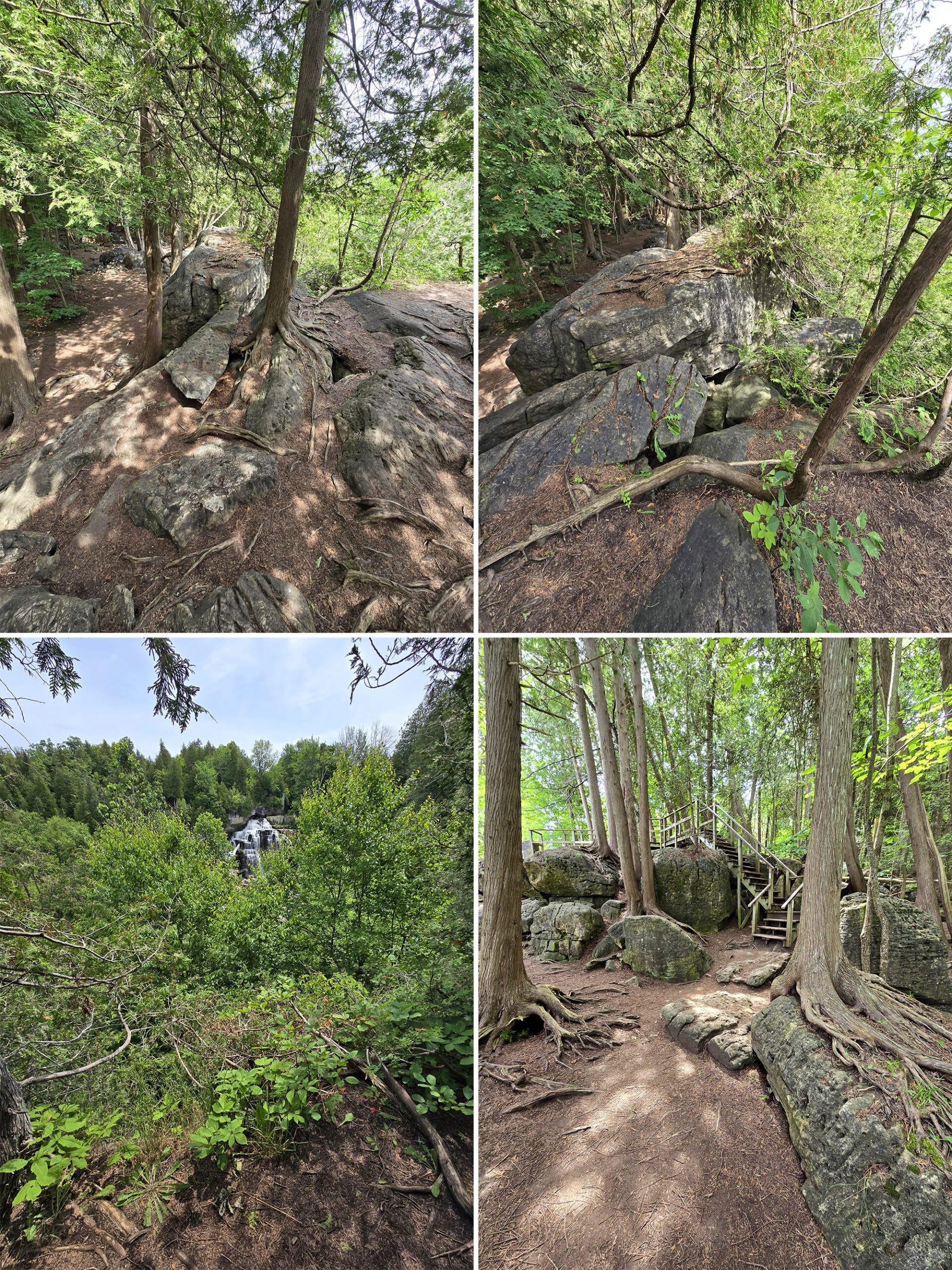 4 part image showing various views of the Bruce Trail though Inglis Falls Conservation Area.