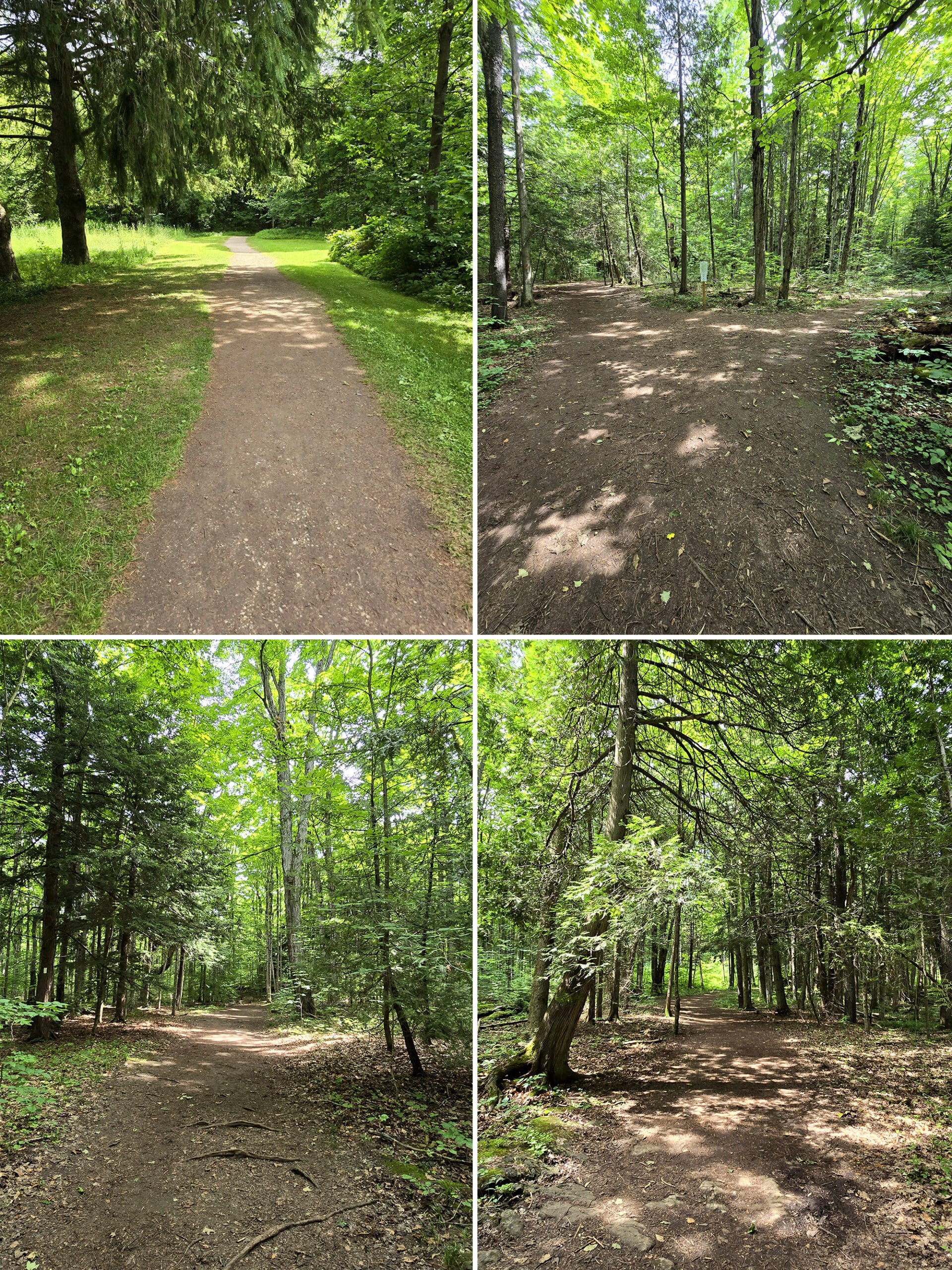 4 part image showing various views along the Pine Loops Trail.