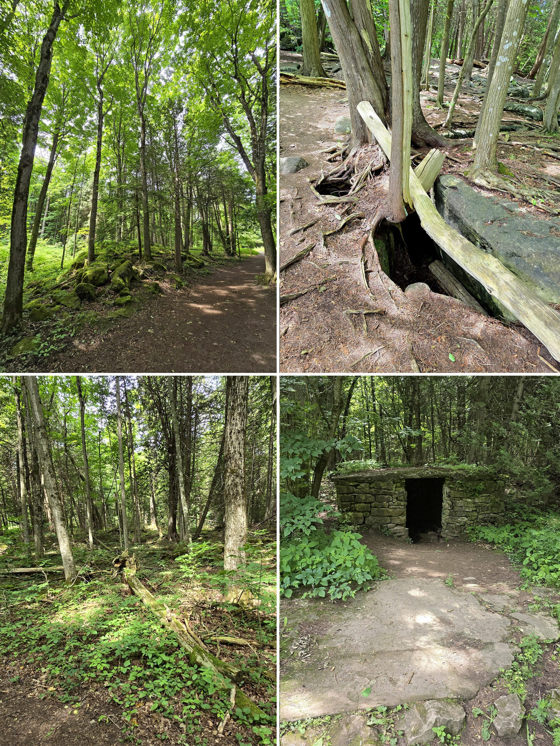 4 part image showing various views along the Pine Loops Trail.