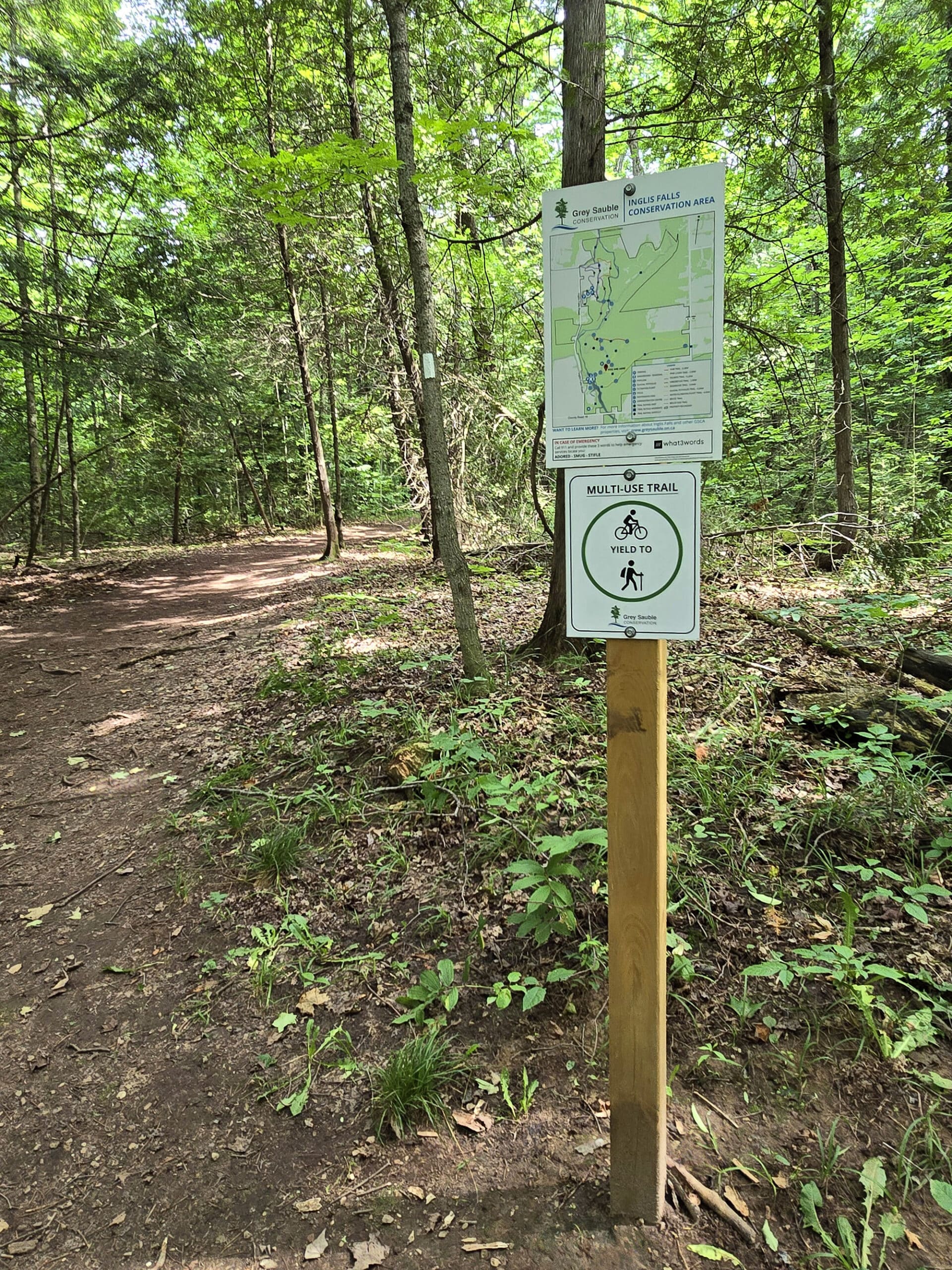 A trail through the woods, with map and trail marker on a signpost.