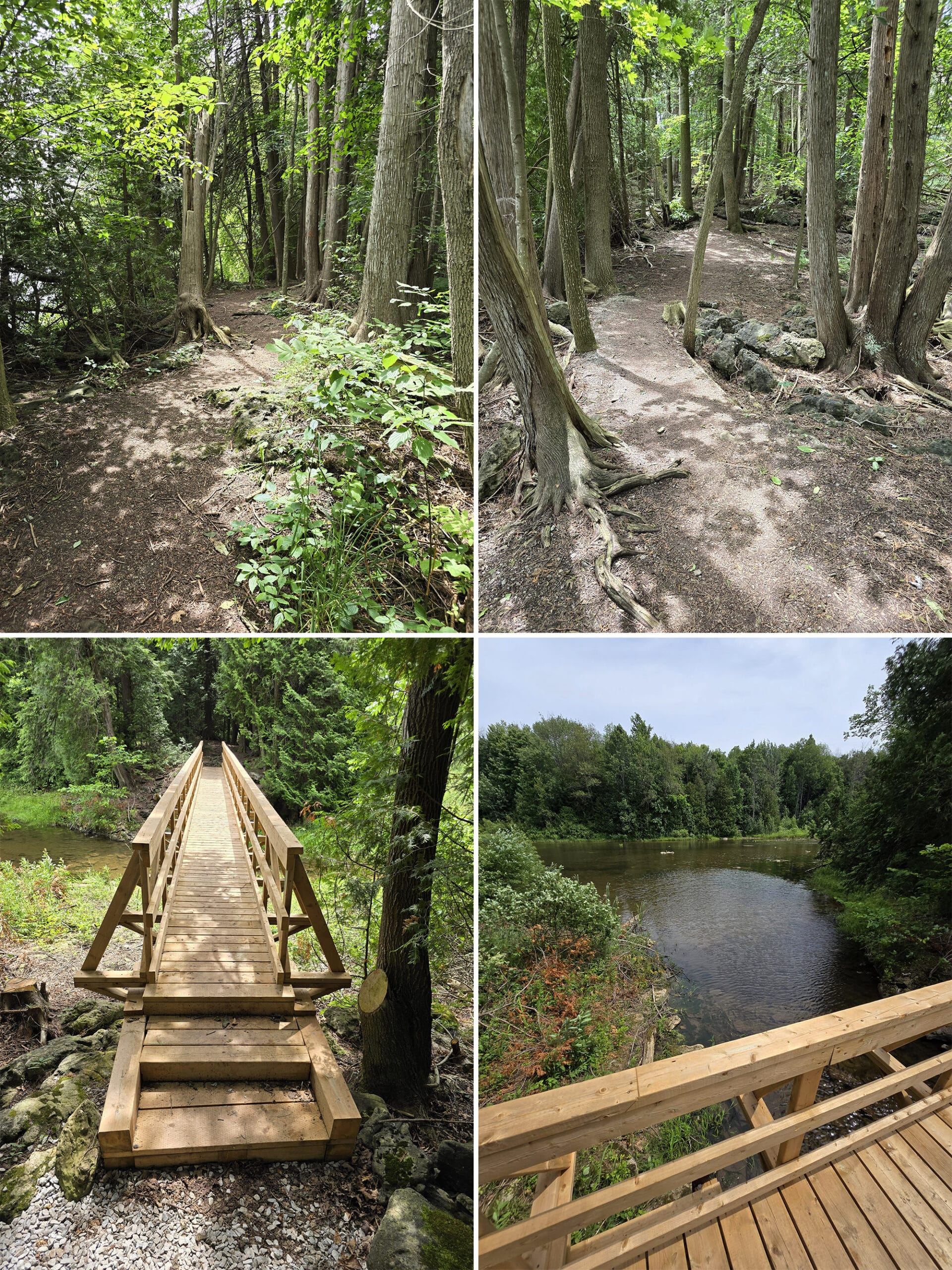 4 part image showing views of the Water Filtration Plant Trail.