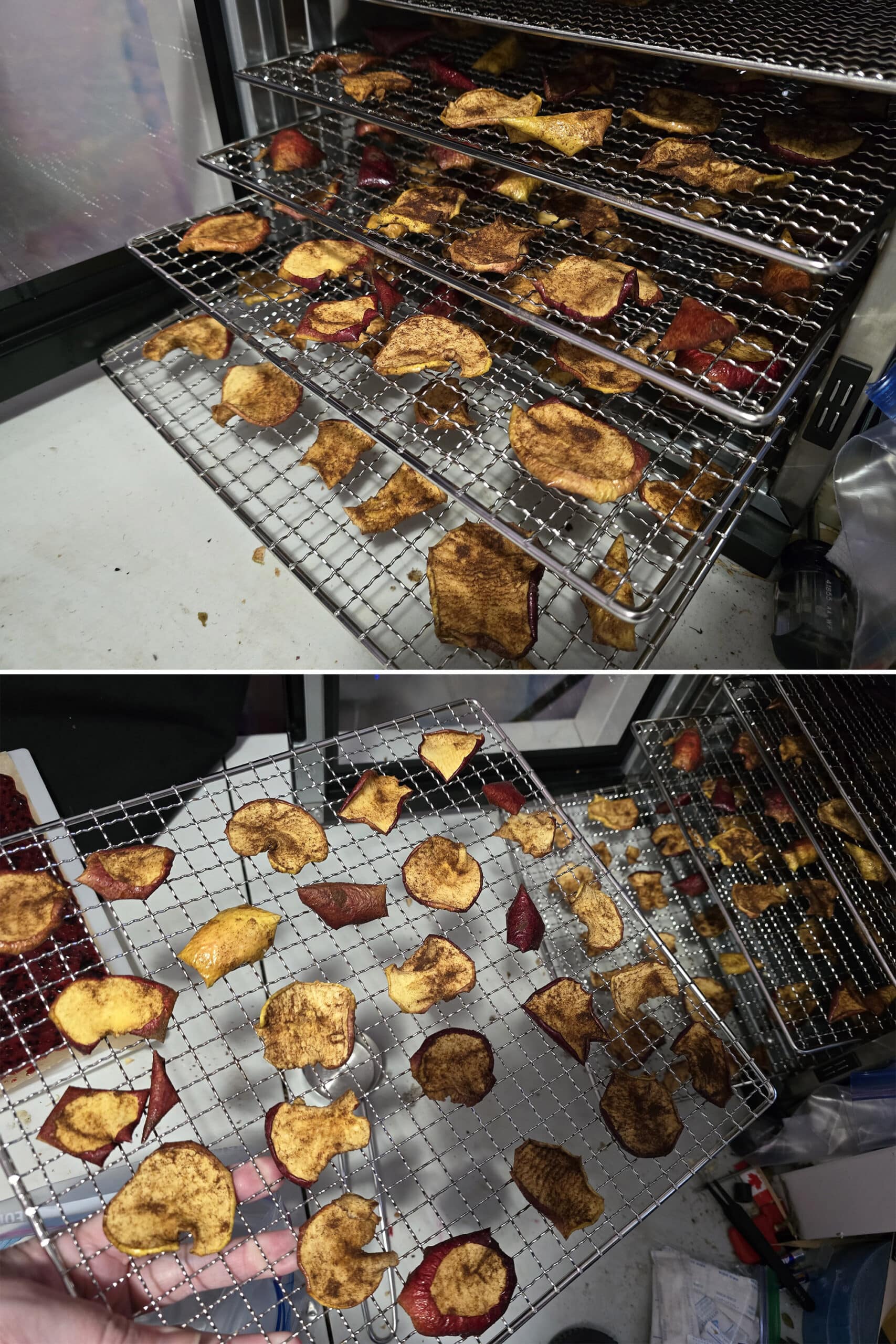 2 part image showing the racks of dehydrated apple chips being removed from the dehydrator.