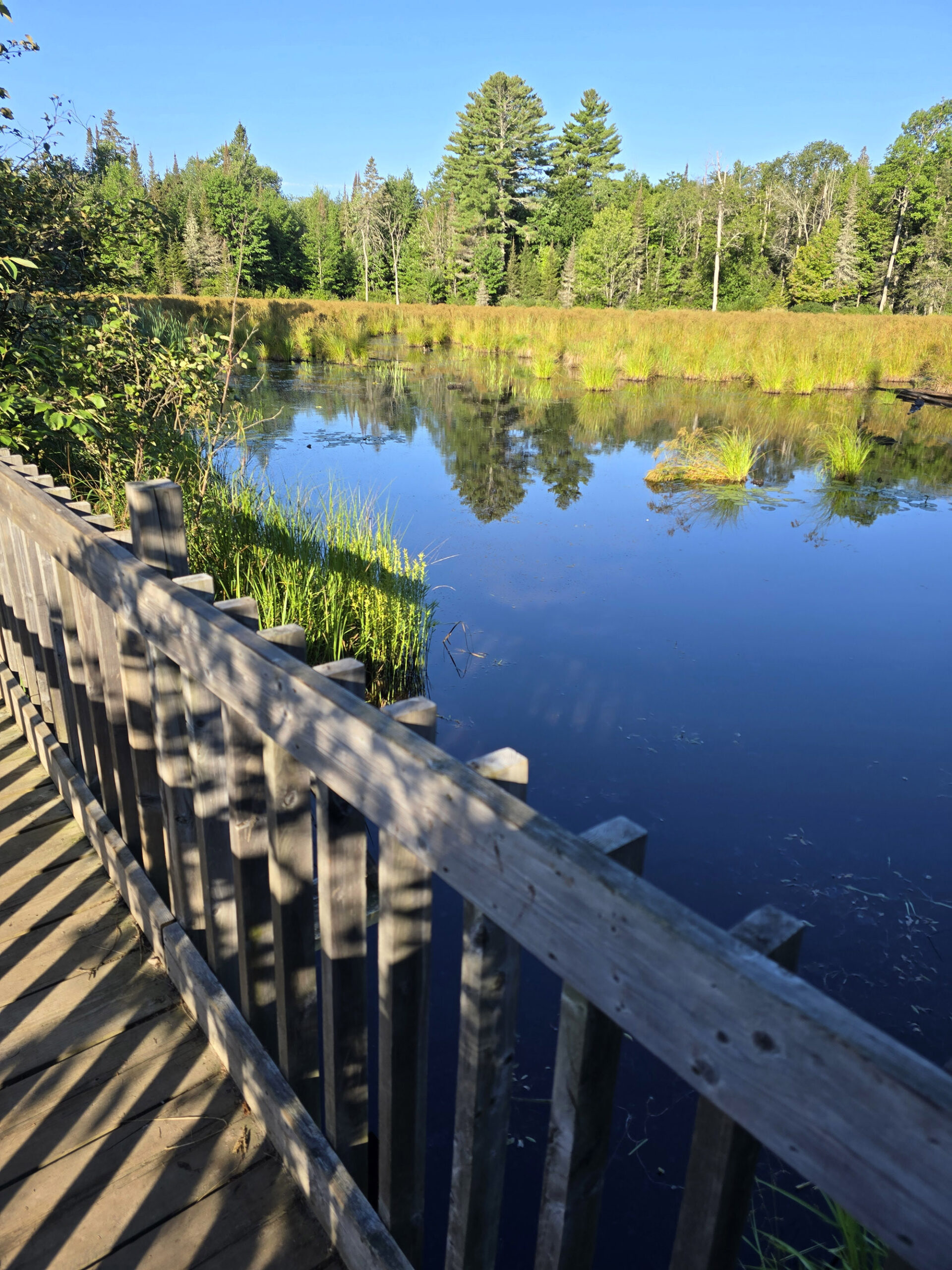 A bridge going over a marsh.