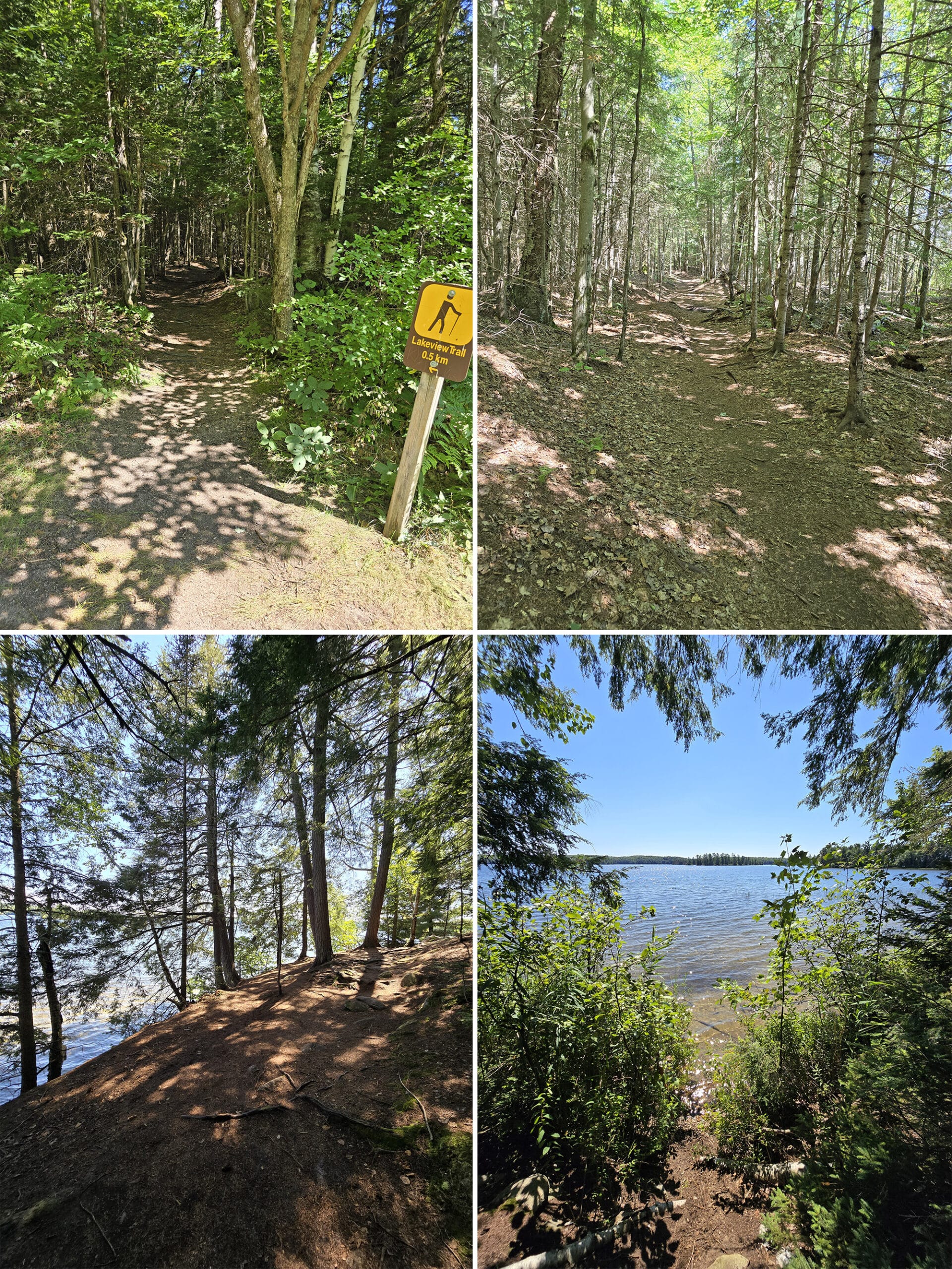 4 part image showing various views along the lakeview trail at mikisew provincial park.