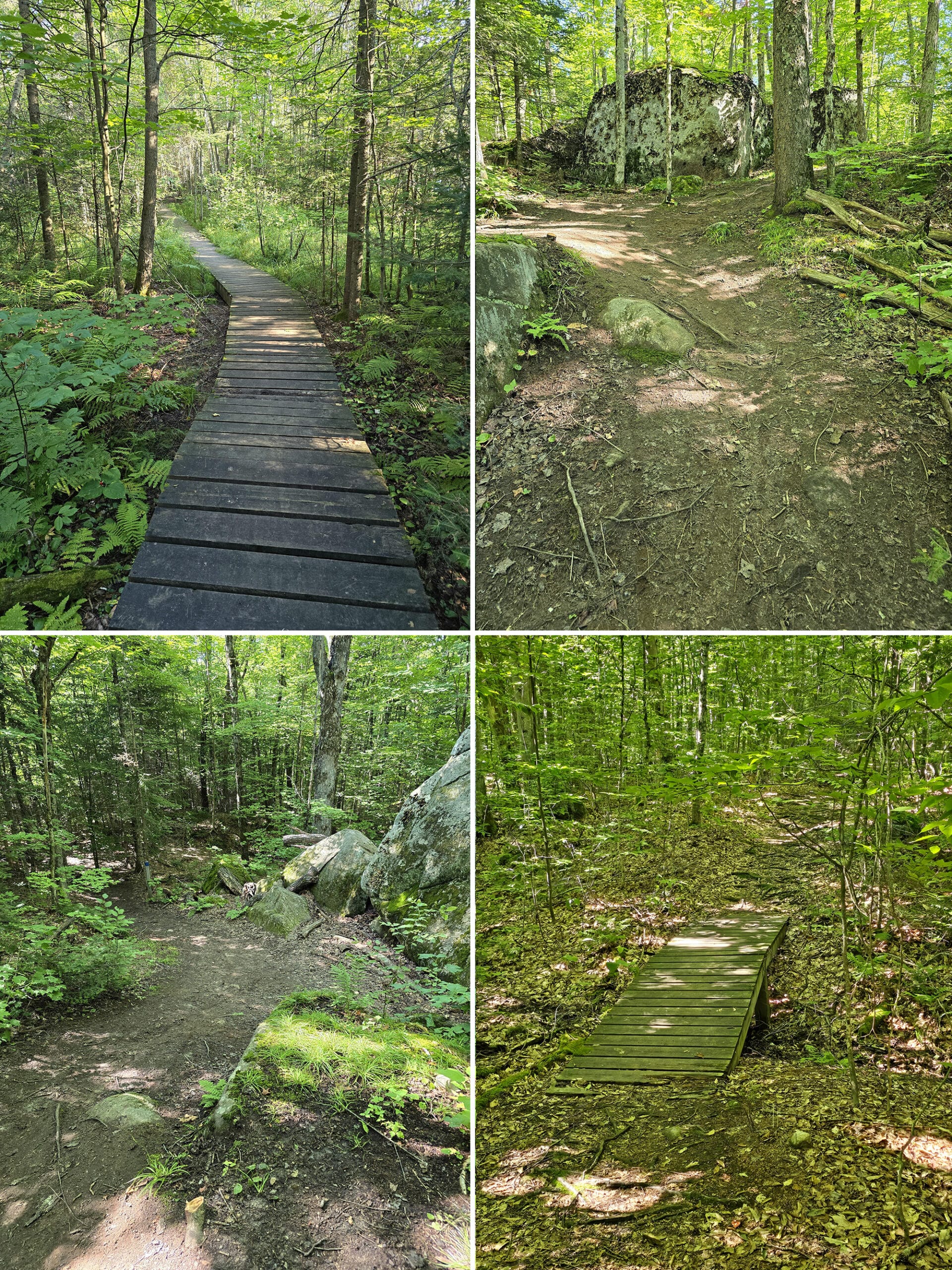 4 part image showing various views along the maple canyon trail at mikisew provincial park.