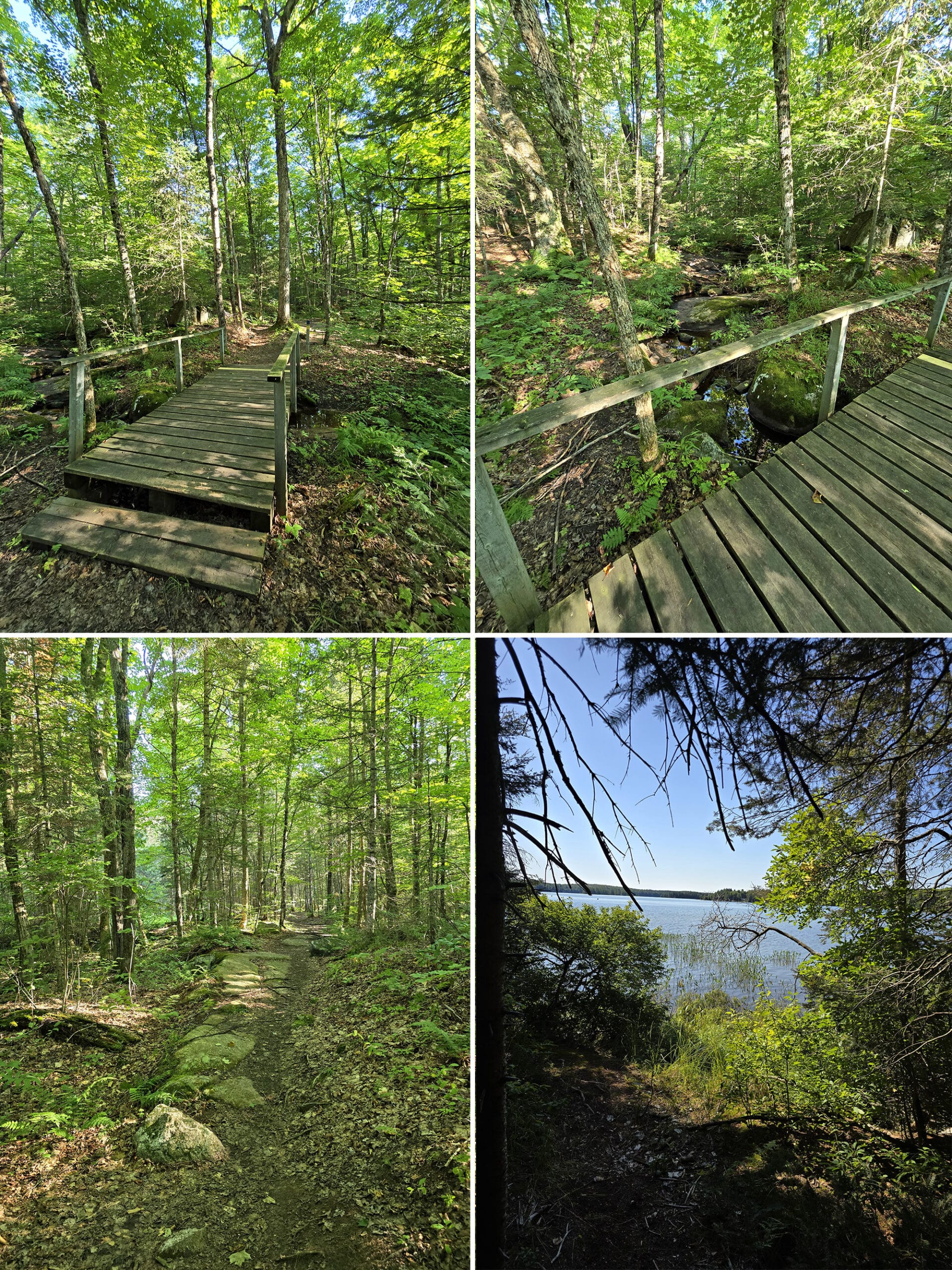 4 part image showing various views along the old dog trail at mikisew provincial park.