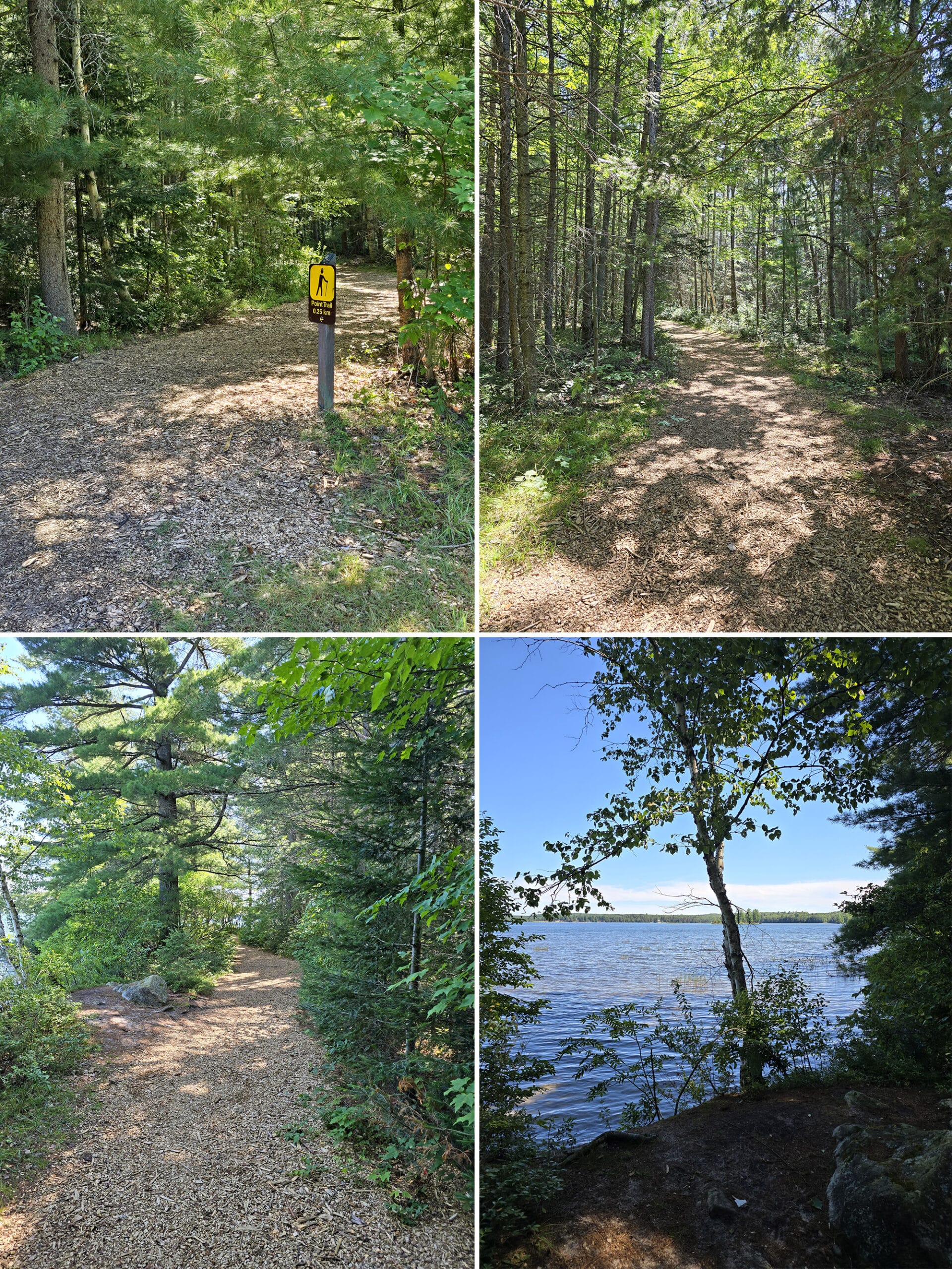 4 part image showing various views along the point trail at mikisew provincial park.