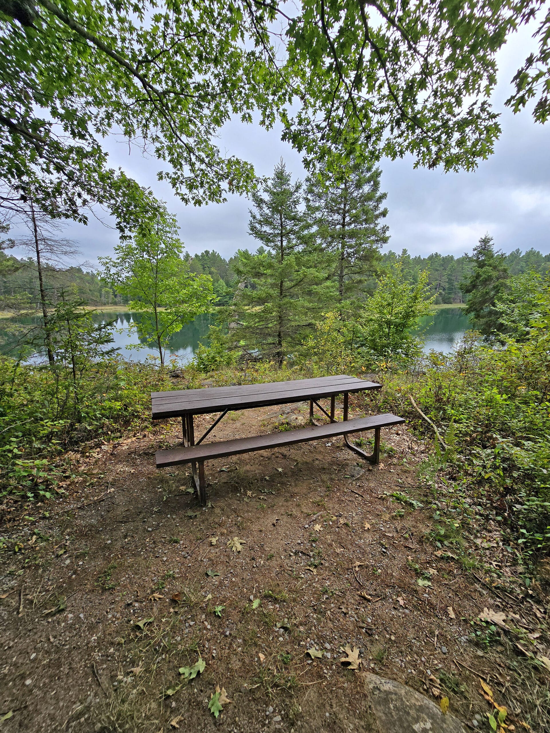 A picnic table in front of McGinnis Lake, a bright turquoise meromictic lake at Petroglyphs Provincial Park.