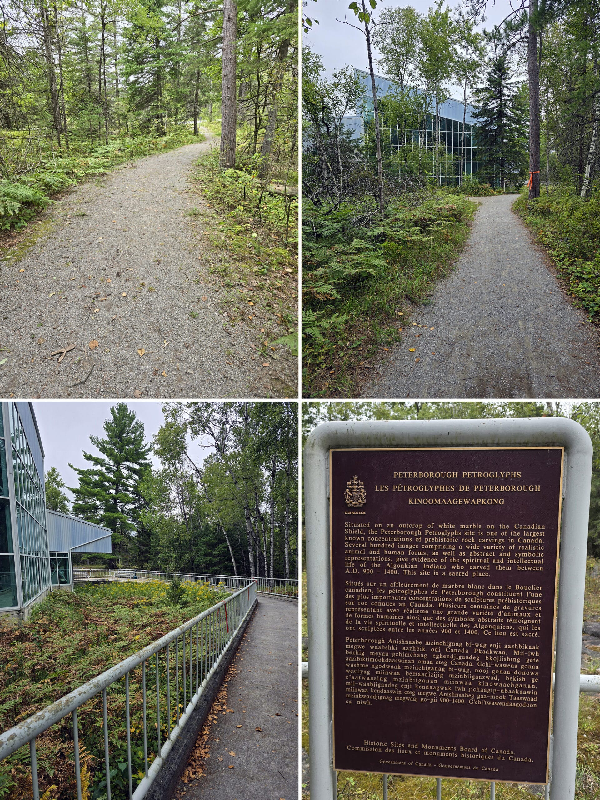 The walk to the petroglyphs site, and the building surrounding them.