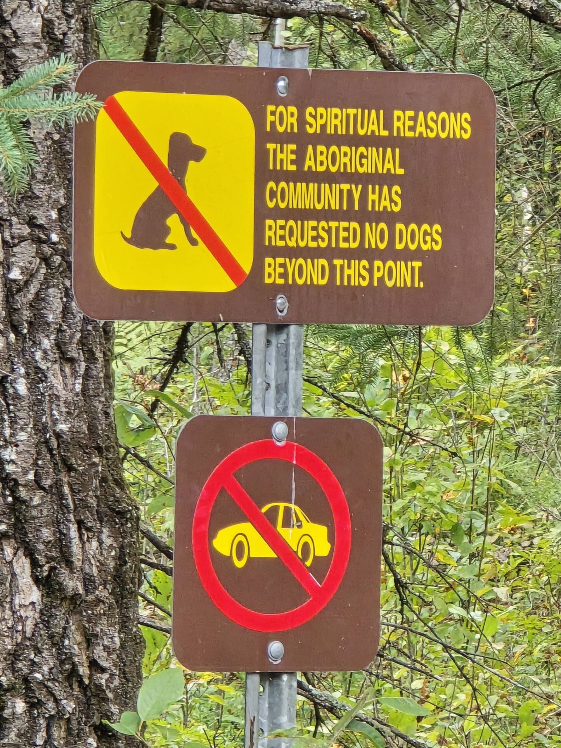 Signage telling visitors that dogs aren't allowed in the petroglyphs site area.