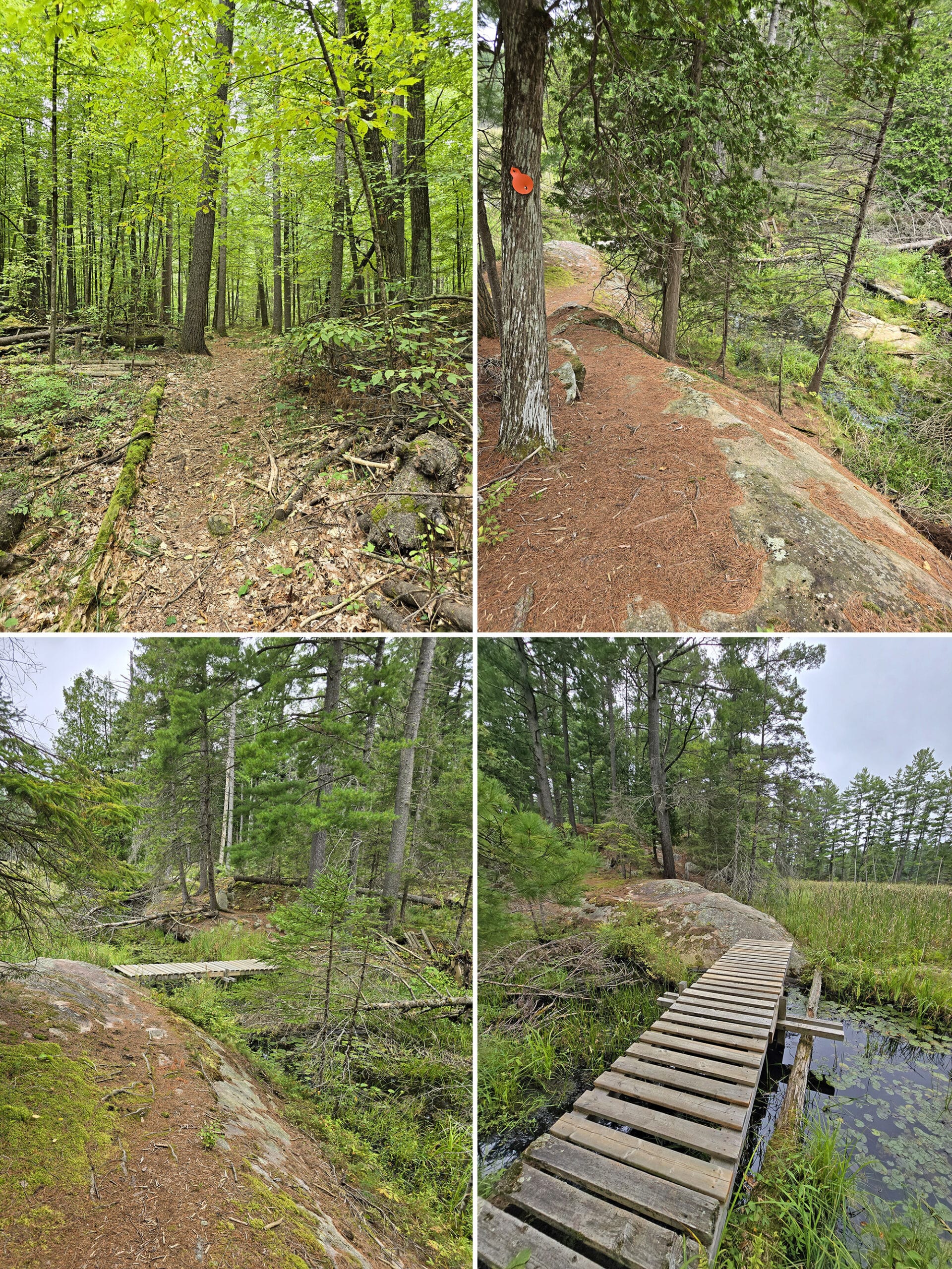 4 part image showing various views along the west day use trail at petroglyphs.