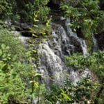 Jones Falls Waterfall.