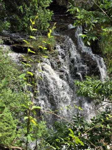 Jones Falls Waterfall.